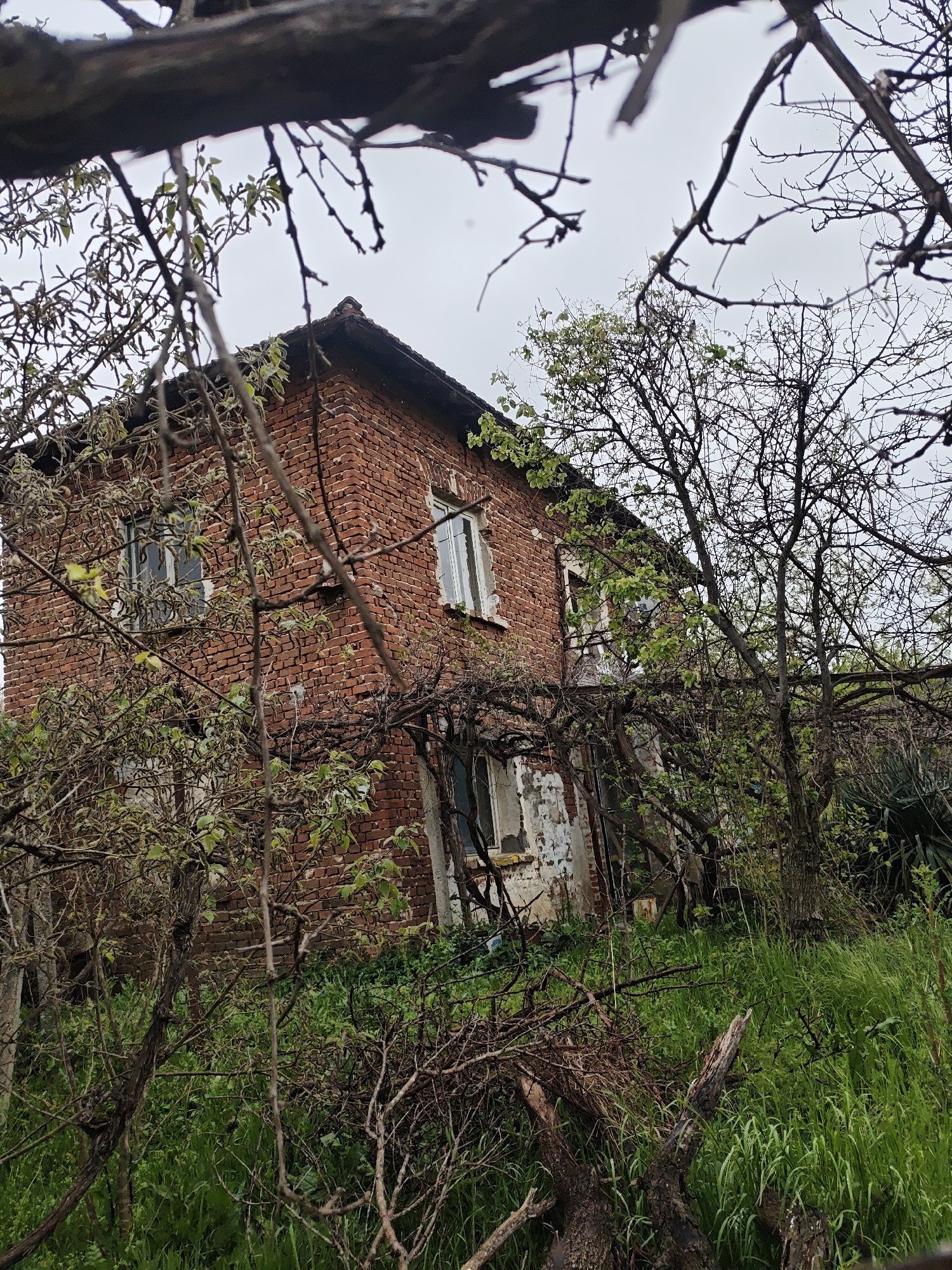 The image depicts a dilapidated two-story brick building, possibly a house, obscured by overgrown vegetation and bare tree branches. The building exhibits signs of neglect, with weathered bricks, peeling paint around the windows, and a roof covered with moss or lichen. The windows are rectangular with white frames. An abundance of vines or climbing plants covers part of the facade. The foreground is filled with tall green grass interspersed with dead branches and twigs. The sky is overcast. The location in the city of Unknown, Unknown is unknown based on the image. There are no people visible in the image.