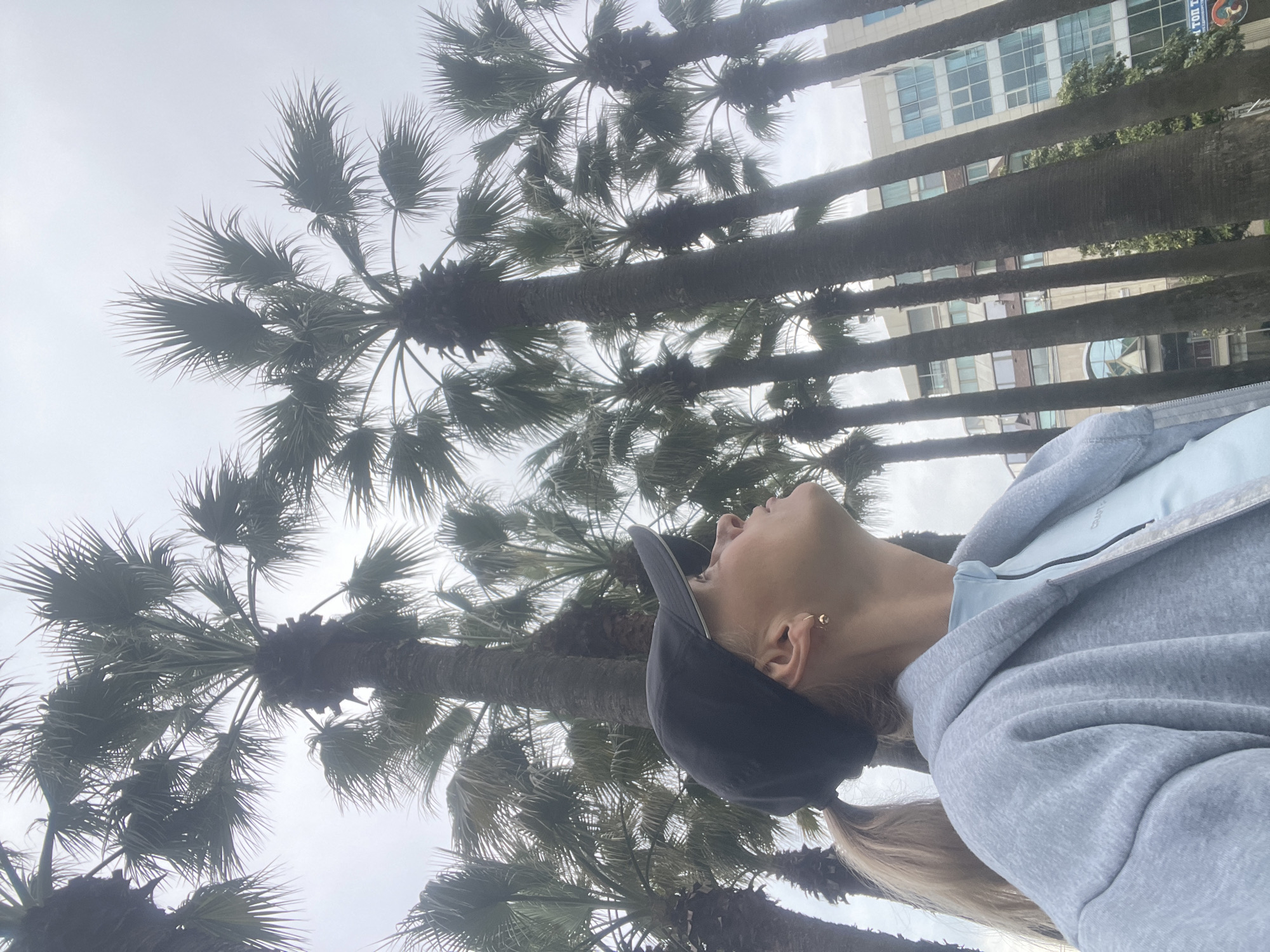 A woman is looking up at tall palm trees in Sochi, Russia. The palm trees are aligned in a row, and a multi-story building can be seen between the trees in the background. The woman is wearing a blue jacket and a gray sweatshirt. She has a black baseball cap on her head, and her blonde hair is tied in a ponytail. Her head is tilted back, and she is looking up at the tall trees.