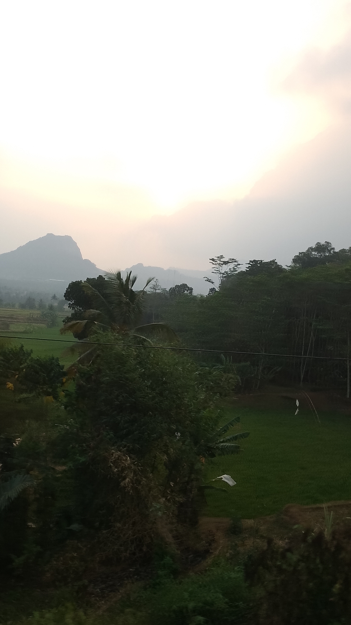 An outdoor, daytime, vertical, medium shot captures a hazy, mountainous landscape. The sky is bright and overcast, with the sun diffused by clouds. In the mid-ground, a dense forest of green trees dominates the scene, with some taller, thinner trees visible among the broader foliage. A patch of vibrant green grass, likely a field, is visible in the lower right quadrant of the image, with a small white flag or marker planted in it. In the foreground, darker green foliage and some dry, brown vegetation create a textured layer. To the left, a distinctive, jagged mountain peak rises from the hazy distance. The overall impression is of a lush, natural environment under a muted, cloudy sky.
