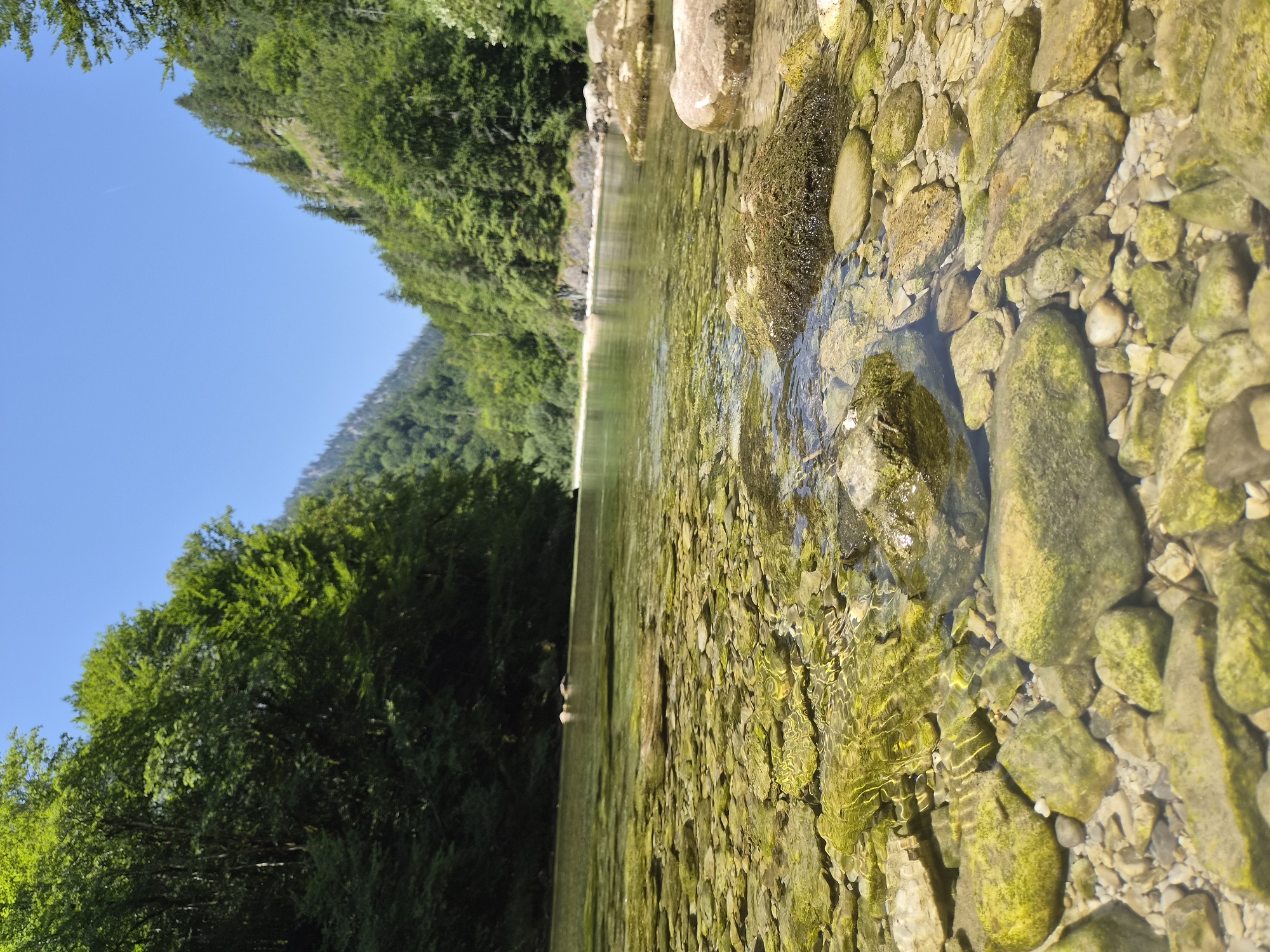 The image depicts a crystal-clear river flowing through a lush green forest in Landl, Austria. The foreground is dominated by the riverbed, visible through the shallow water, which is covered with numerous smooth, light-colored stones, many of which are covered in a green algae or moss. The water surface exhibits ripples and reflections of sunlight. In the mid-ground, the river widens slightly and continues towards a sandy bank on the right side. The background features steep, tree-covered mountains flanking the river, with dense foliage in shades of green under a bright blue sky. The scene is serene and natural, suggesting a remote, unpopulated natural landscape. There are no people or man-made structures visible in the image.