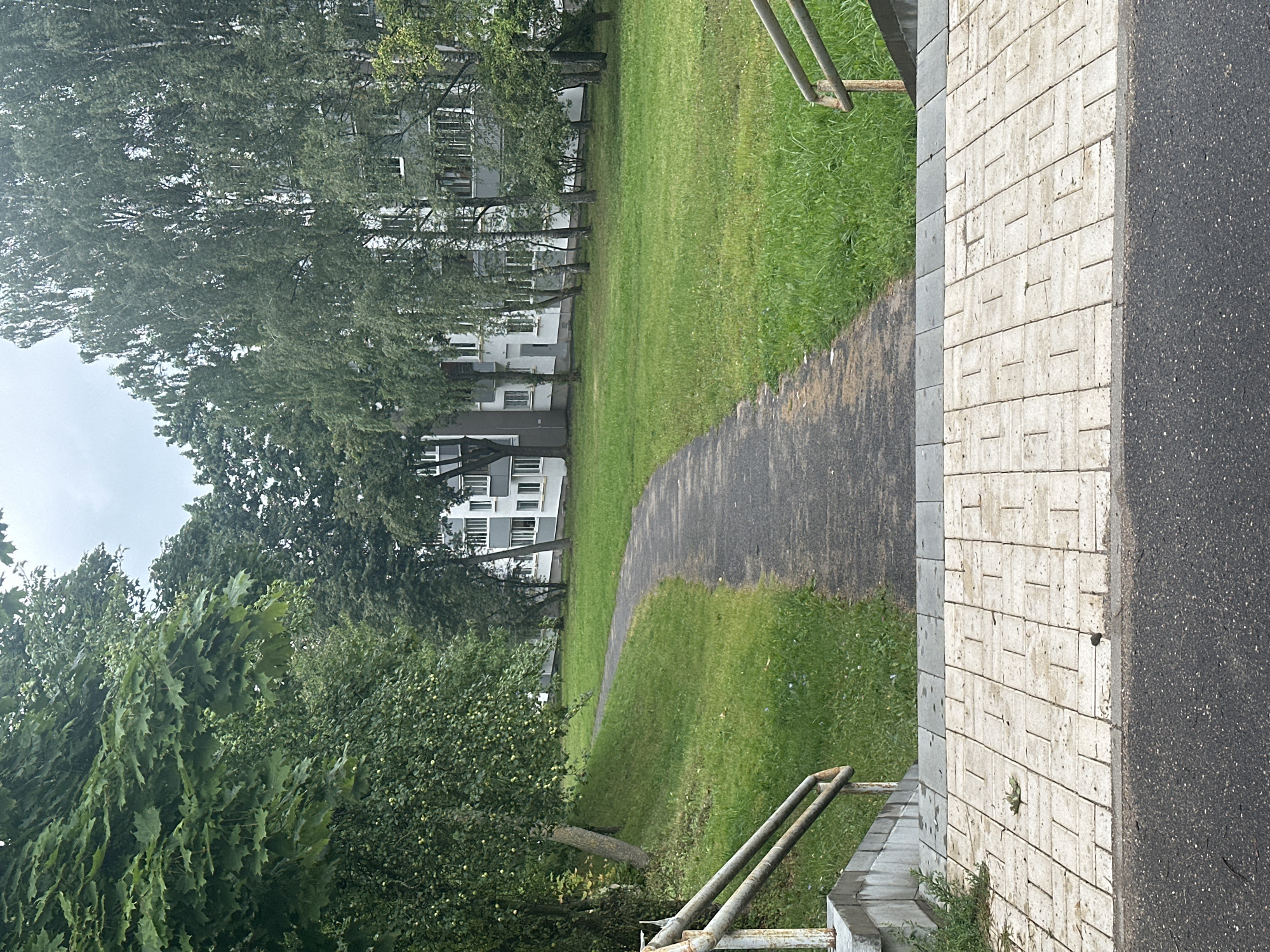 The image shows an exterior view of a residential building in Minsk, Belarus, on an overcast day. A paved walkway curves through a grassy area toward the multi-story building. Trees line the front of the building, partially obscuring it. In the foreground, there are stairs with metal railings leading down to a paved area and then to asphalt. The building appears to be constructed of concrete and has a modern design with rows of windows. The grass is green and well-maintained, and there are fallen leaves on the paving stones.
