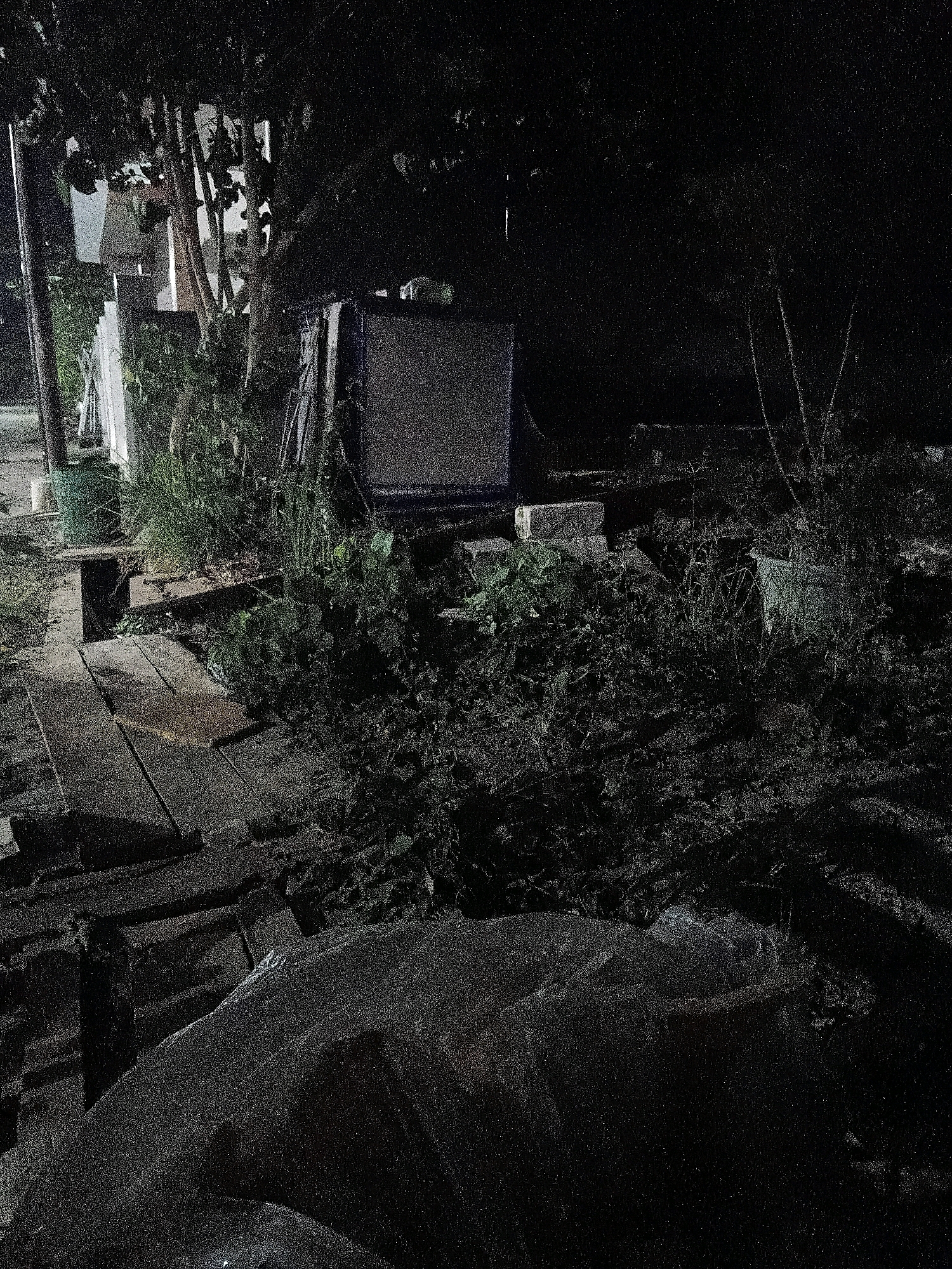 The image depicts an outdoor scene at night. In the foreground, a large, dark, amorphous object covered in what appears to be plastic sheeting occupies the lower portion of the frame. Beyond this, a wooden pathway made of planks is visible, leading into a densely vegetated area. To the left of the pathway, a tall, dark pole stands, possibly a utility pole.
In the midground, various objects are scattered amidst the foliage and vegetation. A large, rectangular structure with a textured, light-colored surface, possibly a cabinet or a piece of equipment, is situated among the plants. There are also what appear to be cinder blocks or similar construction materials. Further to the right, more vegetation is visible, with some lighter-colored objects that could be containers or more debris.
The background is dominated by trees and dark foliage, creating a dense, shadowed environment. The overall impression is of a cluttered, somewhat unkempt outdoor space illuminated by artificial light, casting long shadows and highlighting the textures of the objects and plants. The scene is not specifically identifiable as being in Cikal, Indonesia.