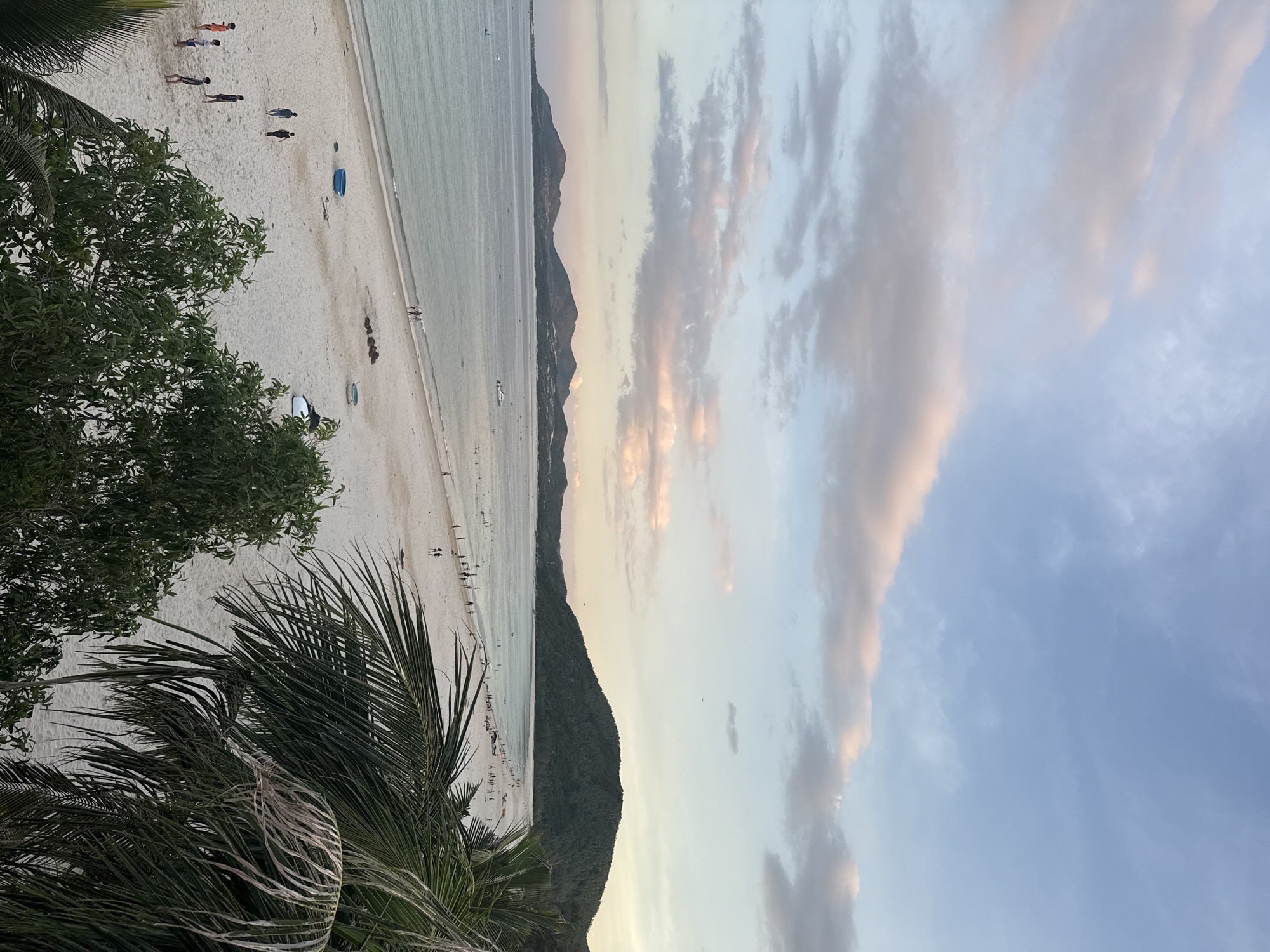 The image depicts a wide, sandy beach in Song Cau, Vietnam, viewed from an elevated position. The ocean stretches out to the horizon, meeting a line of dark, green-covered hills under a pale blue sky dotted with wispy, pink-tinged clouds. The beach is populated by numerous people, some walking along the shore, others gathered in small groups or playing on the sand. Several small boats are visible on the water, and a larger white boat is anchored near the shore. Palm fronds in the foreground partially obscure the view of the beach. The overall impression is one of a tranquil, late afternoon or early evening scene at a coastal resort.