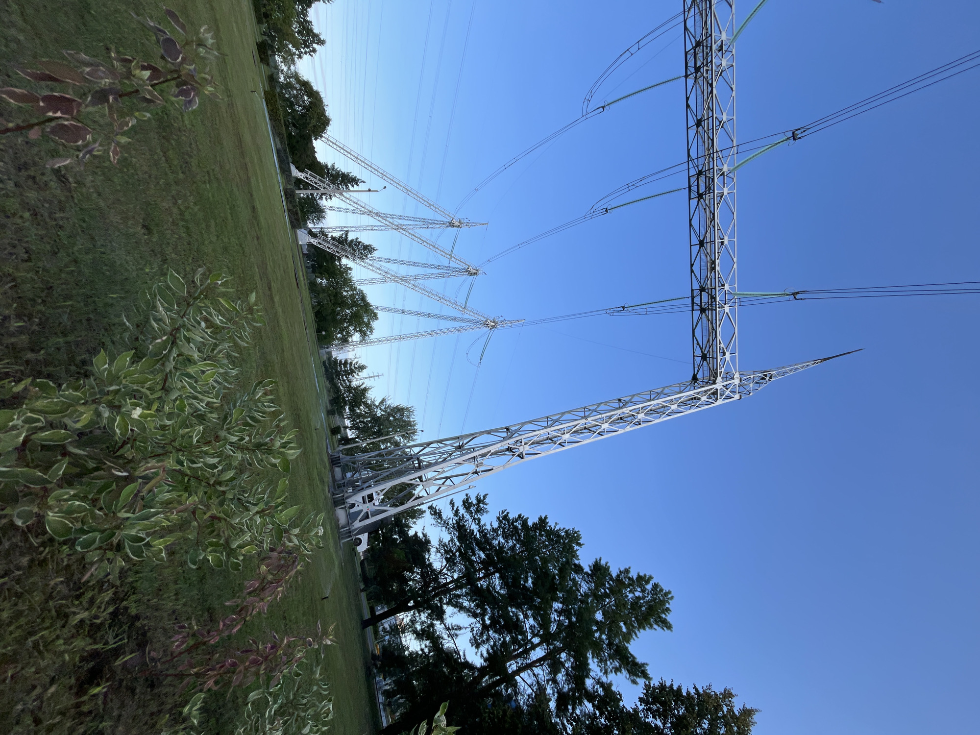 In Chaikovsky, Russia, a wide-angle shot captures a power transmission system against a clear blue sky. The foreground features a grassy slope with several bushes, some with variegated green and white leaves, and others with purplish-brown foliage. In the mid-ground, a series of tall, silver metal pylons, constructed from lattice-like frameworks, support thick black power lines. These pylons are angled and spaced to carry the lines across the landscape. Behind the pylons, a line of trees with dense green foliage is visible. A white truck is parked near one of the pylons. The overall scene depicts an industrial infrastructure element integrated into a natural, albeit managed, environment.