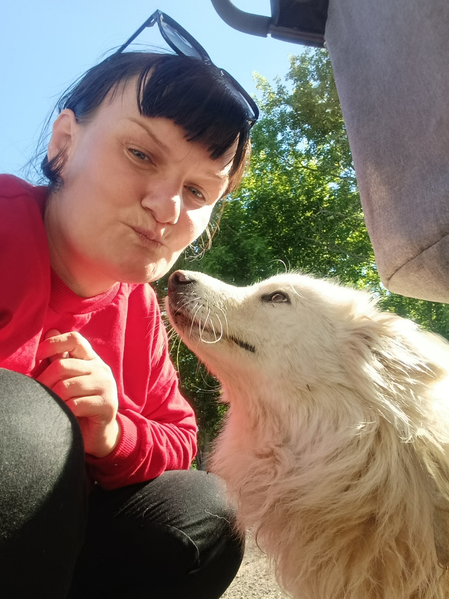 In the city of Fok, Russia, a woman wearing a red sweatshirt and black pants takes a selfie with a white dog outdoors. The woman has dark hair with bangs and sunglasses perched on her head. She is looking at the camera with her lips pursed. The dog, a fluffy white breed, is looking up at the woman. In the background, there are trees and a bright blue sky. Part of a gray fabric object, possibly a stroller, is visible in the upper right corner. The scene is illuminated by bright sunlight, casting shadows.