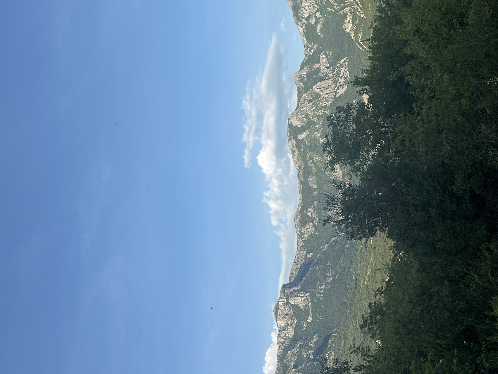 This landscape photograph, taken in Zupci, Montenegro, captures a wide view of a majestic mountain range under a clear, bright blue sky. The image is oriented vertically but depicts a horizontal scene.
On the left side of the frame, the sky dominates, a vibrant azure with minimal haze, suggesting a clear day. Scattered white cumulus clouds are visible, particularly along the mid-line where the sky meets the mountains, casting some soft shadows. A tiny, dark, bird-like speck is visible in the upper part of the sky, implying great distance. Another very small dark speck is visible in the lower part of the sky.
The central and right portions of the image are dominated by rugged mountains. Their rocky facades are a mix of light gray and white, indicating exposed rock, possibly limestone, interspersed with patches of green vegetation. The mountains appear steep and imposing, forming a dramatic backdrop.
In the foreground and extending along the lower right side, dark green foliage from trees and bushes is prominent, partially obscuring the base of the mountains. This dense vegetation suggests a wooded area or forest thriving in the mountainous terrain. Patches of lighter green, possibly meadows or less dense growth, can be seen further up the mountain slopes.
The overall impression is one of natural beauty and vastness, characteristic of a sunny day in a mountainous region. The time of day appears to be midday due to the bright, direct sunlight. No discernible human activity or text is visible in the frame.