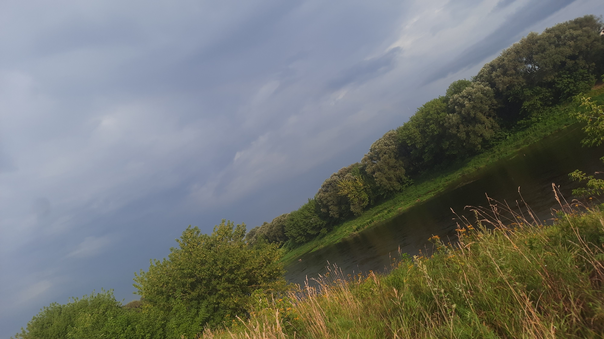 The image depicts a natural landscape characterized by a body of water, likely a river, flanked by lush green vegetation. Tall trees line the far bank, creating a dense forestation. The foreground features tall grass and some smaller plants. The sky above is partly cloudy, with a mix of grey and lighter patches, suggesting overcast or changeable weather. The image is captured at an angle, giving a dynamic perspective of the scene. The absence of any visible man-made structures or people suggests a remote or natural setting. This scene is consistent with the natural surroundings found near the city of Shkloŭ, Belarus, which is situated by the Dnieper River, a significant waterway that flows through areas of natural beauty.