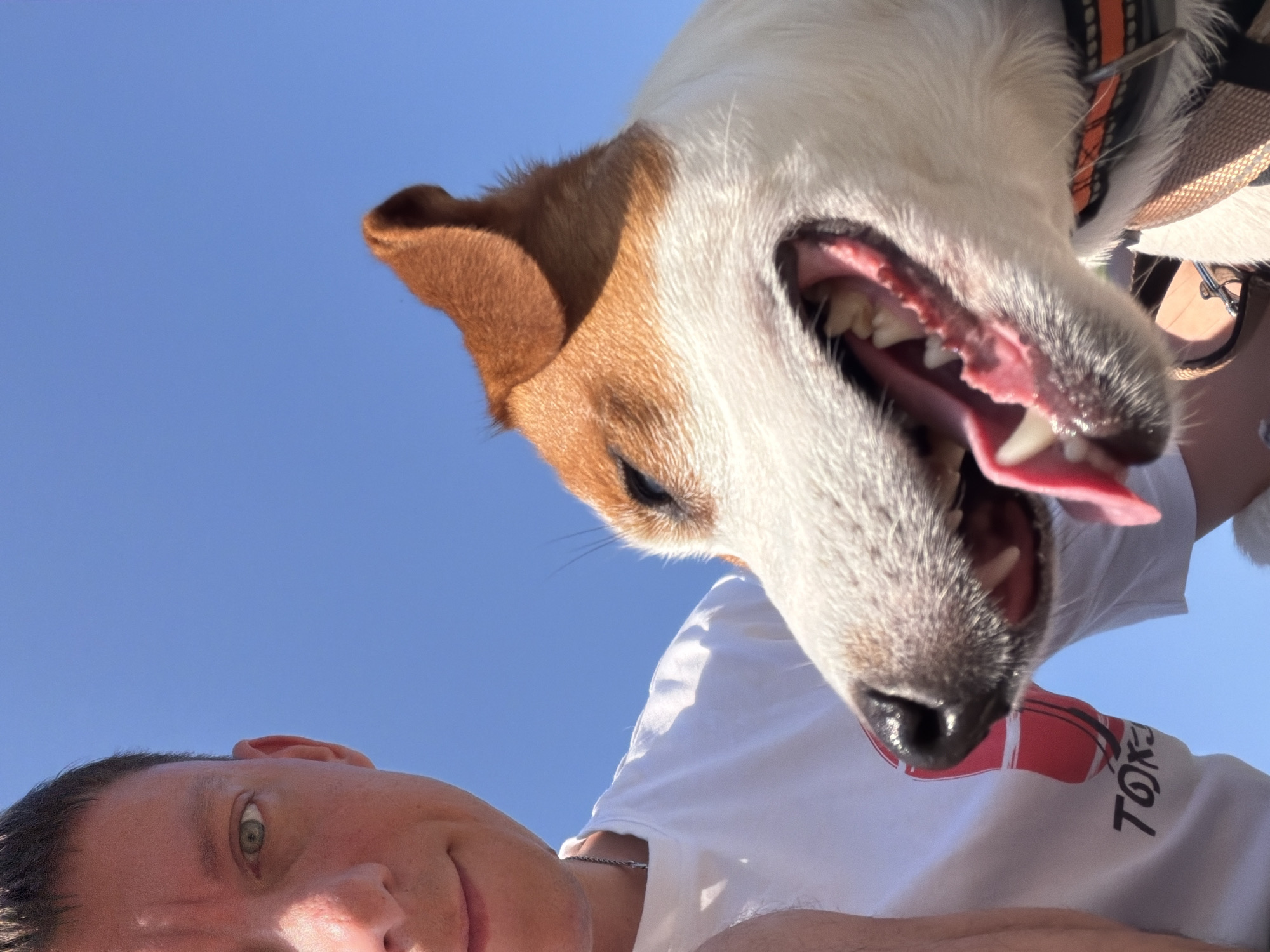 The image is a close-up, selfie-style photograph taken outdoors against a clear blue sky, with no discernible Moscow skyline or landmarks. A person, whose face is partially visible on the left, is looking towards the camera. They have short, dark hair and green eyes, and are wearing a white t-shirt with a red graphic and Japanese text that appears to read "TOKYO". The person's left arm is also visible. To the right of the person, a Jack Russell Terrier dog is prominently featured, its head and snout filling a large portion of the frame. The dog's mouth is open, revealing its tongue and teeth, suggesting it is panting or excited. The dog is wearing a collar with an orange and black patterned strap. The lighting suggests it is daytime.