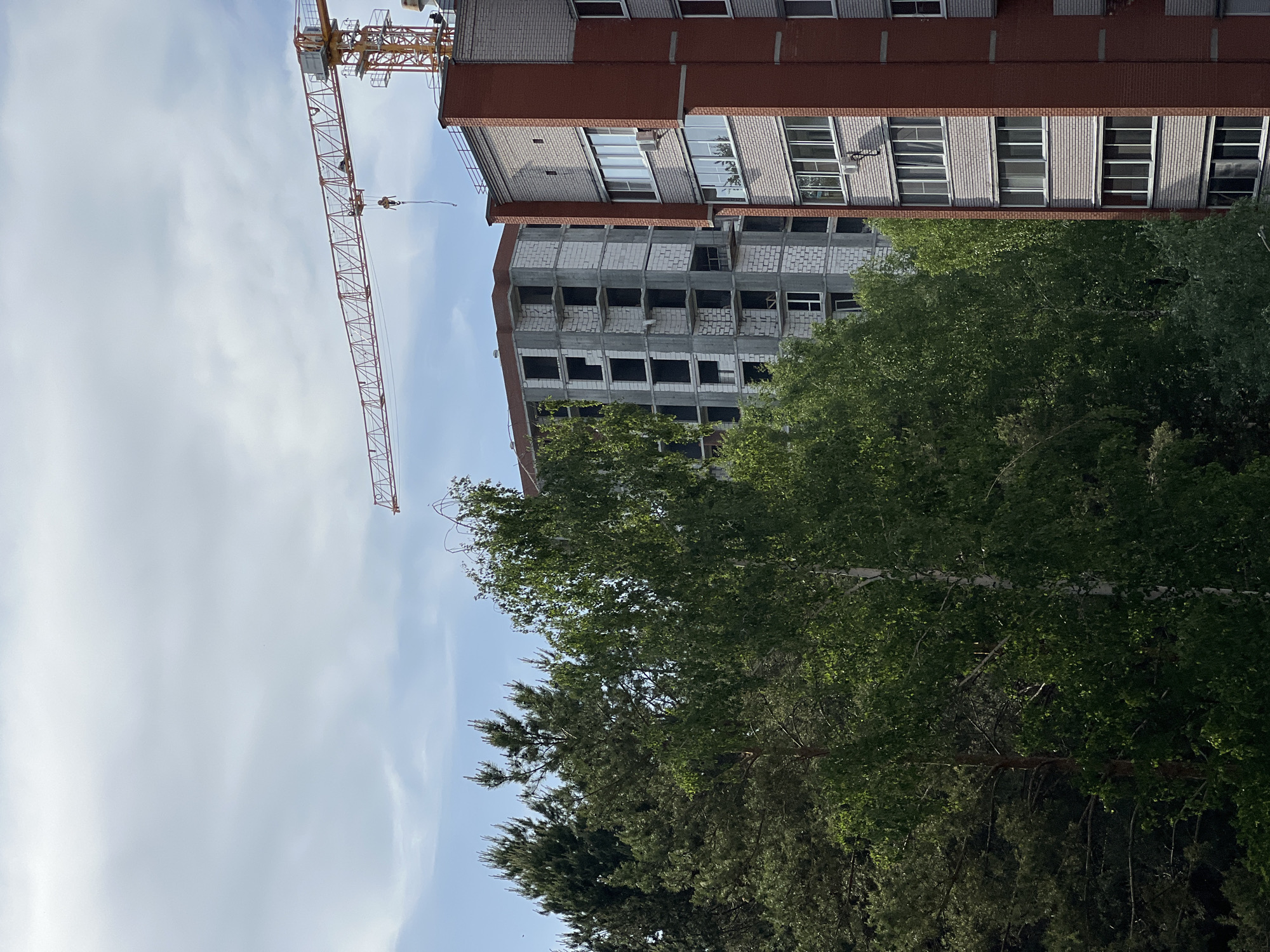 The image shows a partially constructed, multi-story brick and concrete building in Chaikovsky, Russia. A construction crane is visible adjacent to the building, reaching into the sky. The lower portion of the image is dominated by a dense cluster of green trees, obscuring the lower floors of the building. The sky is partly cloudy with blue patches.
