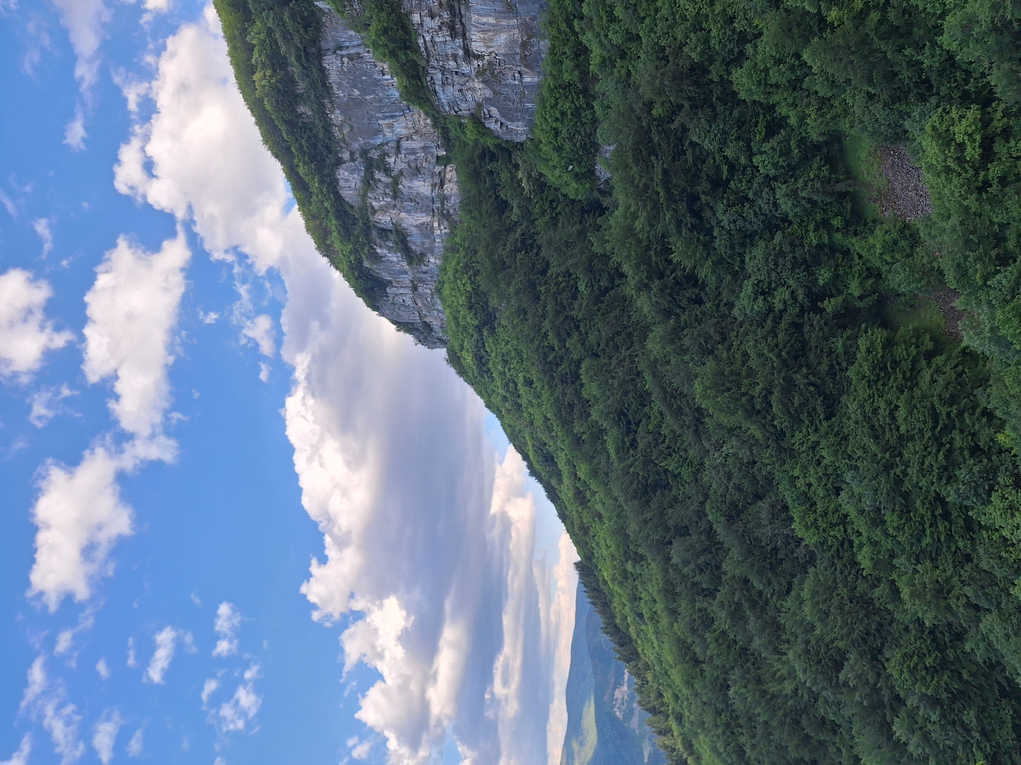 The image shows a view of a rocky cliff covered in green trees on the right side, contrasted with a partly cloudy blue sky on the left. It is implied the image has been taken in Zasele, Bulgaria. The cliff face shows layers of sedimentary rock, with vegetation growing along its surface. The forest cover is dense. The sky is bright blue with scattered cumulus clouds. The image orientation is vertical.