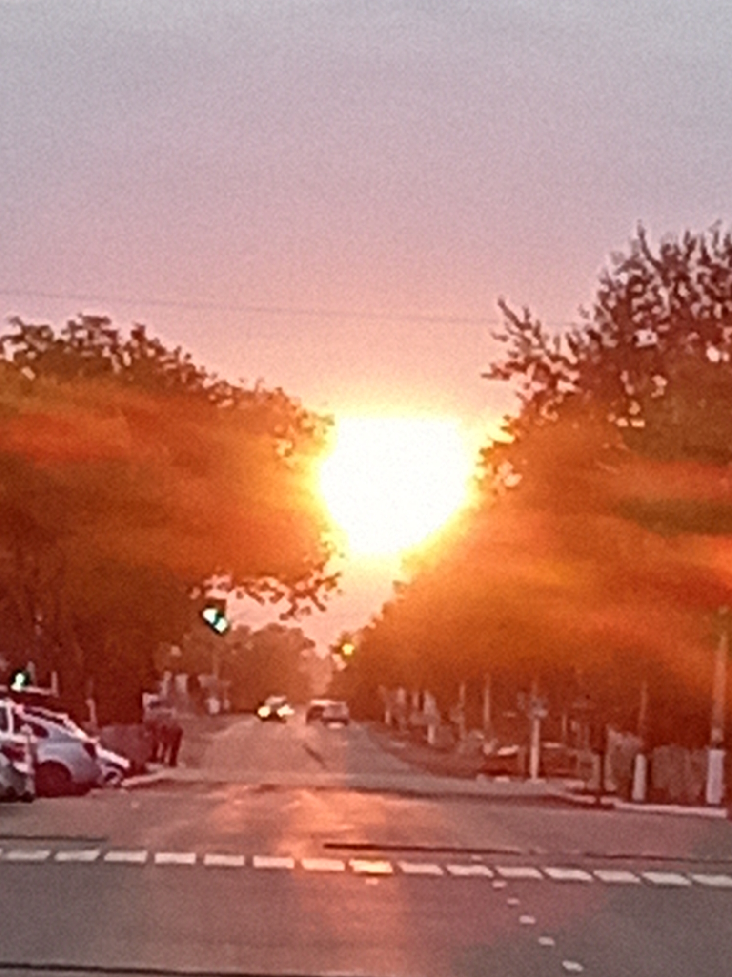 The image depicts a street scene at sunset in Rudny, Kazakhstan. The sun is low on the horizon, casting a warm, orange glow that permeates the sky and illuminates the trees lining the street. The sun's glare is prominent, obscuring some details. In the foreground, a road with white dashed lines marks a pedestrian crossing. Several cars are visible on the road, some of which appear to be stationary. On the left side of the road, there is a light-colored car with its rear facing the camera. Further down the street, other vehicles are present, and on the right side, there are buildings or structures partially obscured by the trees and the sunset's light. The overall impression is a quiet, end-of-day atmosphere on a city street.