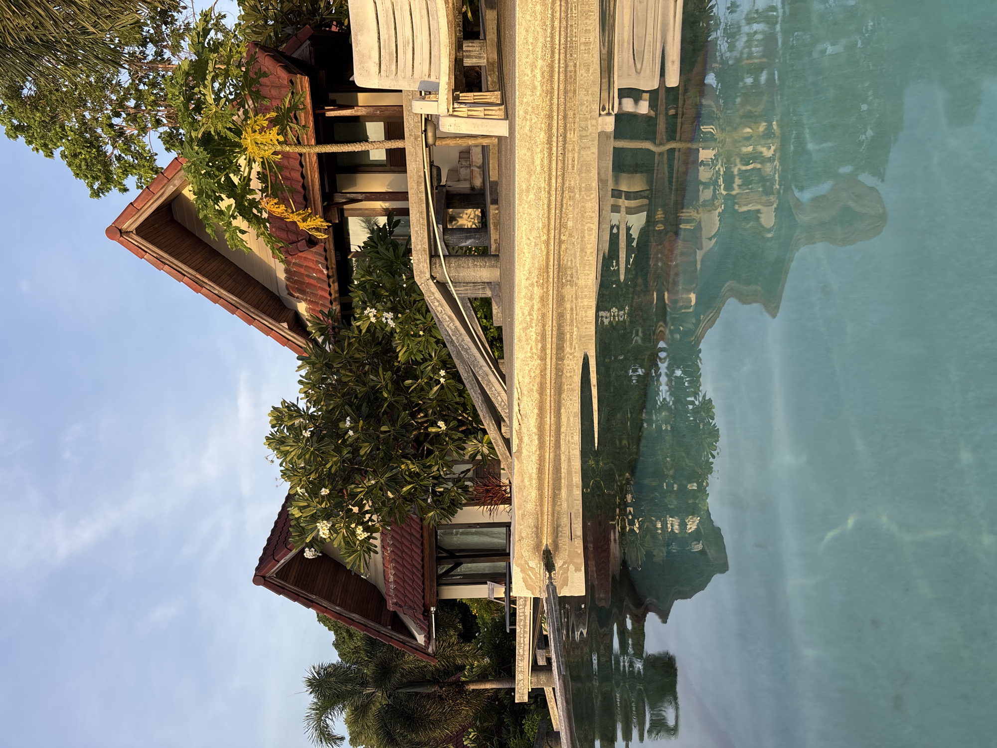 The image depicts a tropical scene with a focus on a house and a swimming pool. The house features a red tiled roof and is partially obscured by lush green foliage, including trees and flowering plants. A papaya tree with yellowing leaves is also visible, suggesting a possible time of year or growing conditions. The house appears to be a vacation home or resort, with large windows and a balcony.
The swimming pool occupies a significant portion of the frame, its turquoise water reflecting the house, trees, and sky. The reflections are distorted by the gentle movement of the water, creating an abstract, painterly effect. The light suggests it is either early morning or late afternoon, with a warm, golden hue cast on the scene. The sky is a clear, light blue with a few wispy clouds.
The overall mood is serene and tranquil, evoking a sense of relaxation and tropical getaway. There is no visible text in the image. The setting appears to be a tropical island or coastal region, given the presence of palm trees and the style of the architecture. The scene is devoid of any people or discernible activity, focusing solely on the natural beauty and architectural elements.