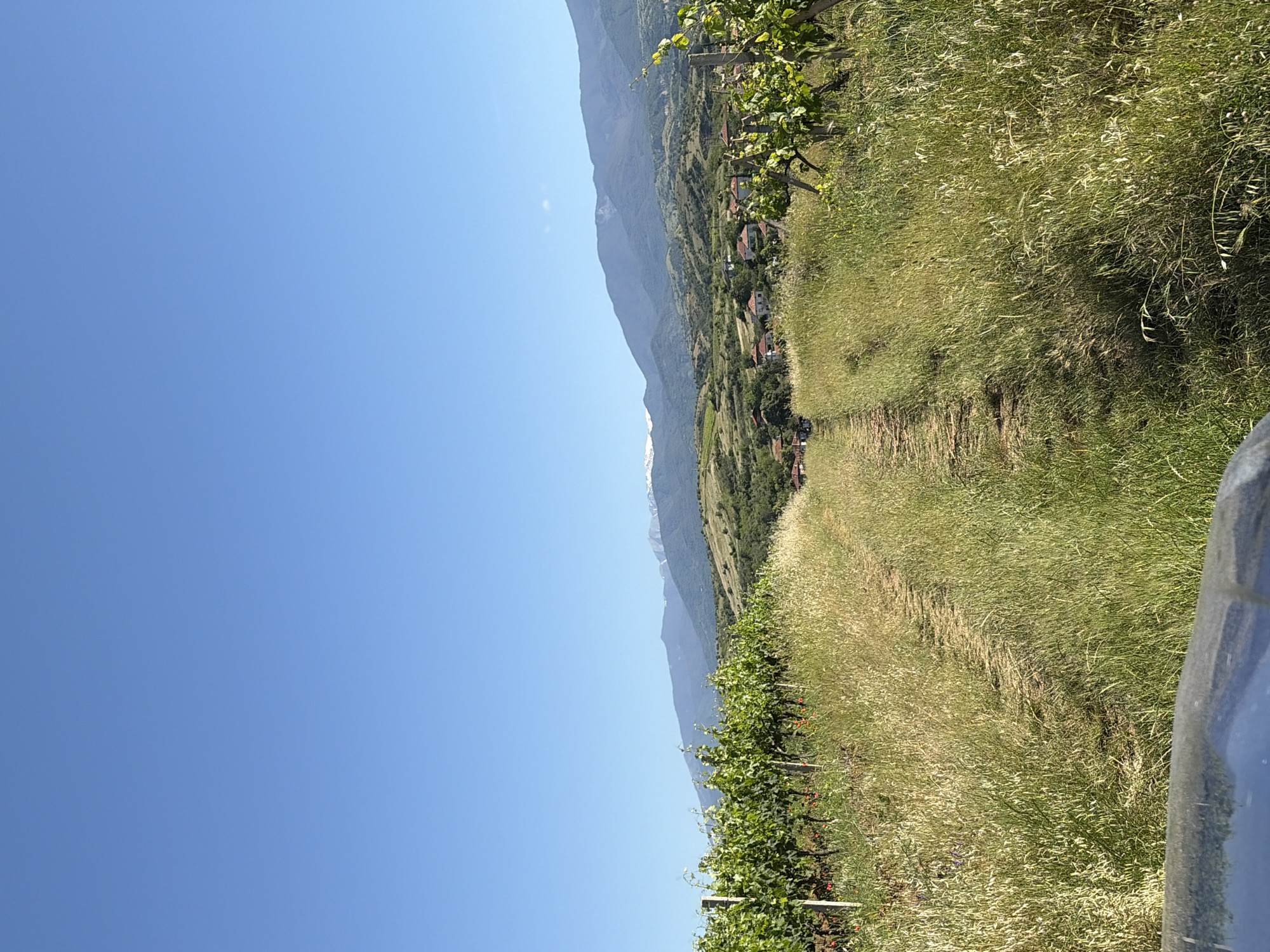 The image shows a view from a dirt path in a rural area, likely a vineyard, with tall grass on either side. Rows of grapevines are visible. In the background, a mountain range is partially visible, with some buildings situated along the slope. The sky is clear and blue. Part of a blue object, possibly a vehicle, is visible on the bottom right. The exact location is Unknown, Unknown.