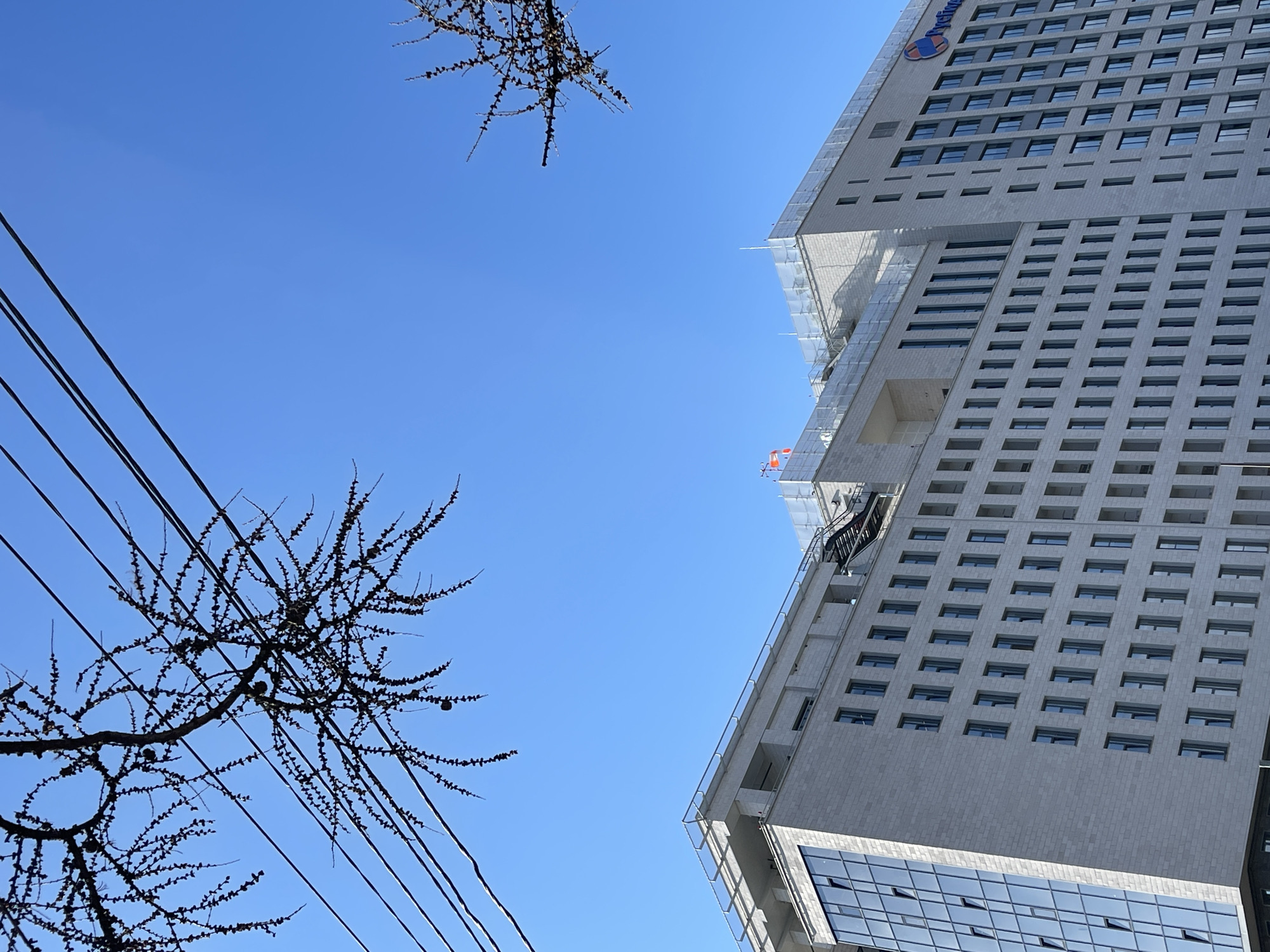 This image, taken from a low angle, presents a clear blue sky as the dominant background. On the right, a modern, multi-story building with a light grey, possibly stone or concrete, facade rises prominently. The building features numerous uniformly sized rectangular windows. Near the top-right corner of the building, a distinctive blue logo with white lettering is visible, clearly spelling out "Hilton," indicating its affiliation with the hotel chain. Some sections of the building appear to have architectural setbacks or balconies, and on its upper left side, what looks like scaffolding or structural elements are visible, suggesting ongoing construction or recent development.
On the left side of the frame, the intricate, dark silhouettes of bare tree branches, likely from a deciduous tree in winter, stretch across the sky. Small, dark cones or dried leaves are discernible on the branches. Several dark utility cables or power lines run diagonally from the lower-left to the upper-right, crossing the sky and intertwining with the tree branches.
The clear, bright blue sky indicates a sunny day, likely midday or early afternoon, given the lack of dramatic shadows. The scene captures an urban or city environment in Krasnoyarsk, Russia, highlighting the interplay between modern architecture, essential infrastructure, and natural elements during what appears to be a season without foliage. No specific human activity or event is occurring.