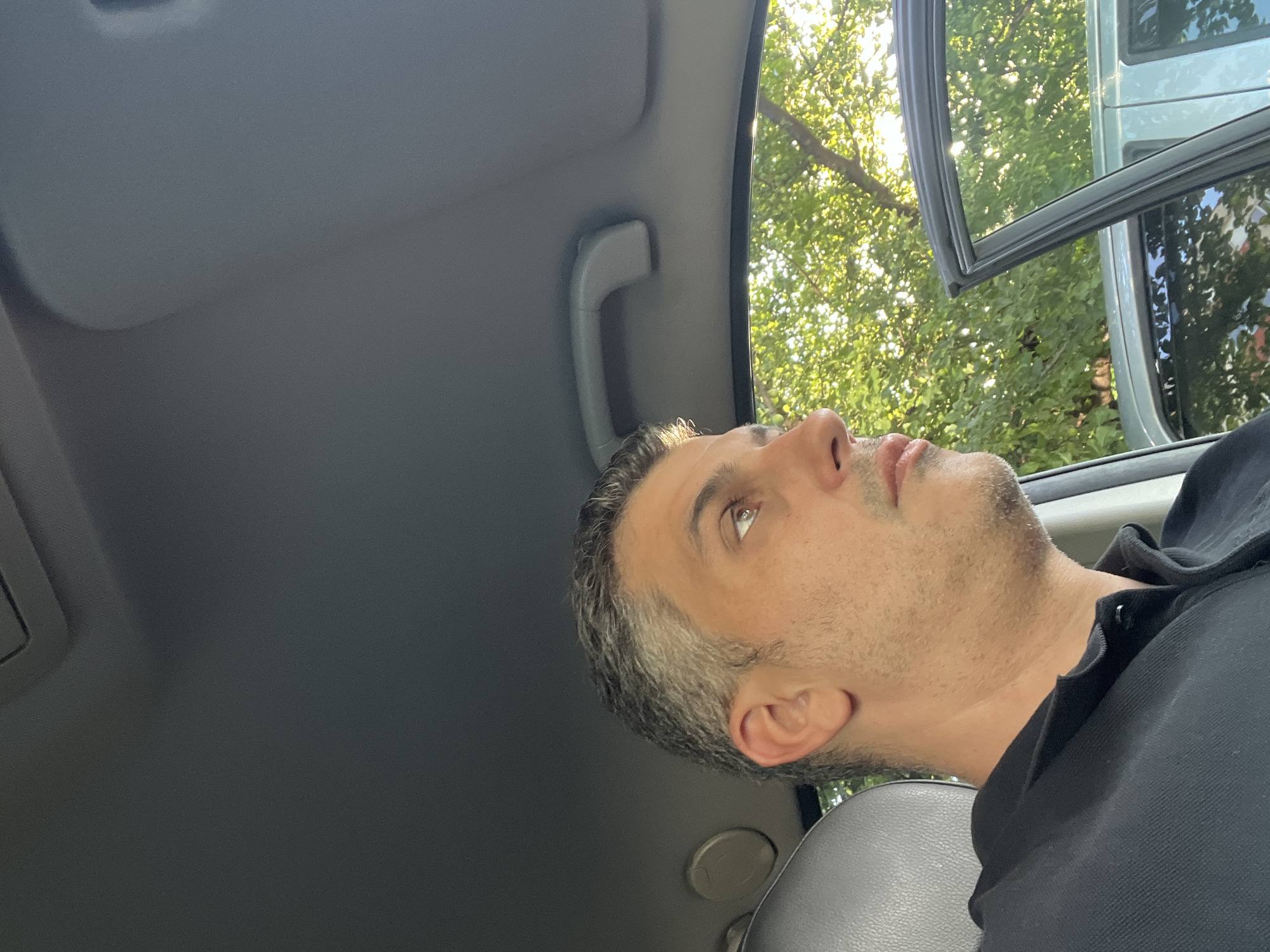 A man with salt-and-pepper hair and stubble is seen from the chest up, looking out of the open door of a vehicle. He is wearing a black collared shirt. The interior of the car is visible, including a gray headrest and the car's ceiling with a grab handle. Outside the car, lush green trees with sunlight filtering through are visible. The setting appears to be a residential area or a park.