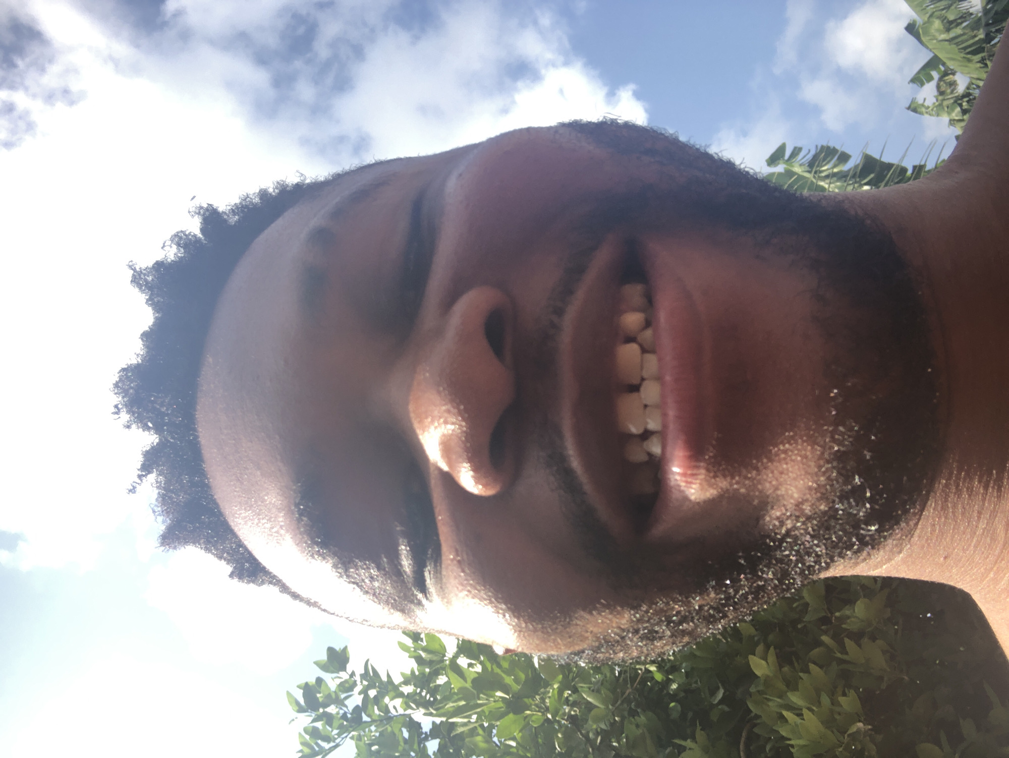 This close-up image captures a person's smiling face from a low-angle perspective, looking upwards. The subject, who appears to be male with dark skin and dark, curly hair, has a broad smile revealing their teeth. Their face is partially covered with stubble or a short beard, and strong sunlight creates highlights on their skin, particularly on the forehead, nose, and chin.
The background features a bright blue sky with scattered white clouds, indicating a sunny daytime setting. Lush green foliage from trees and plants is visible around the edges of the frame, with some larger, possibly tropical, leaves on the right side and denser greenery towards the bottom. The perspective suggests the person is either lying down looking up or taking a selfie from a very low angle, with the camera positioned below their face. The overall mood conveyed is happy and relaxed, set against a vibrant natural outdoor environment. No discernible text is present in the image.