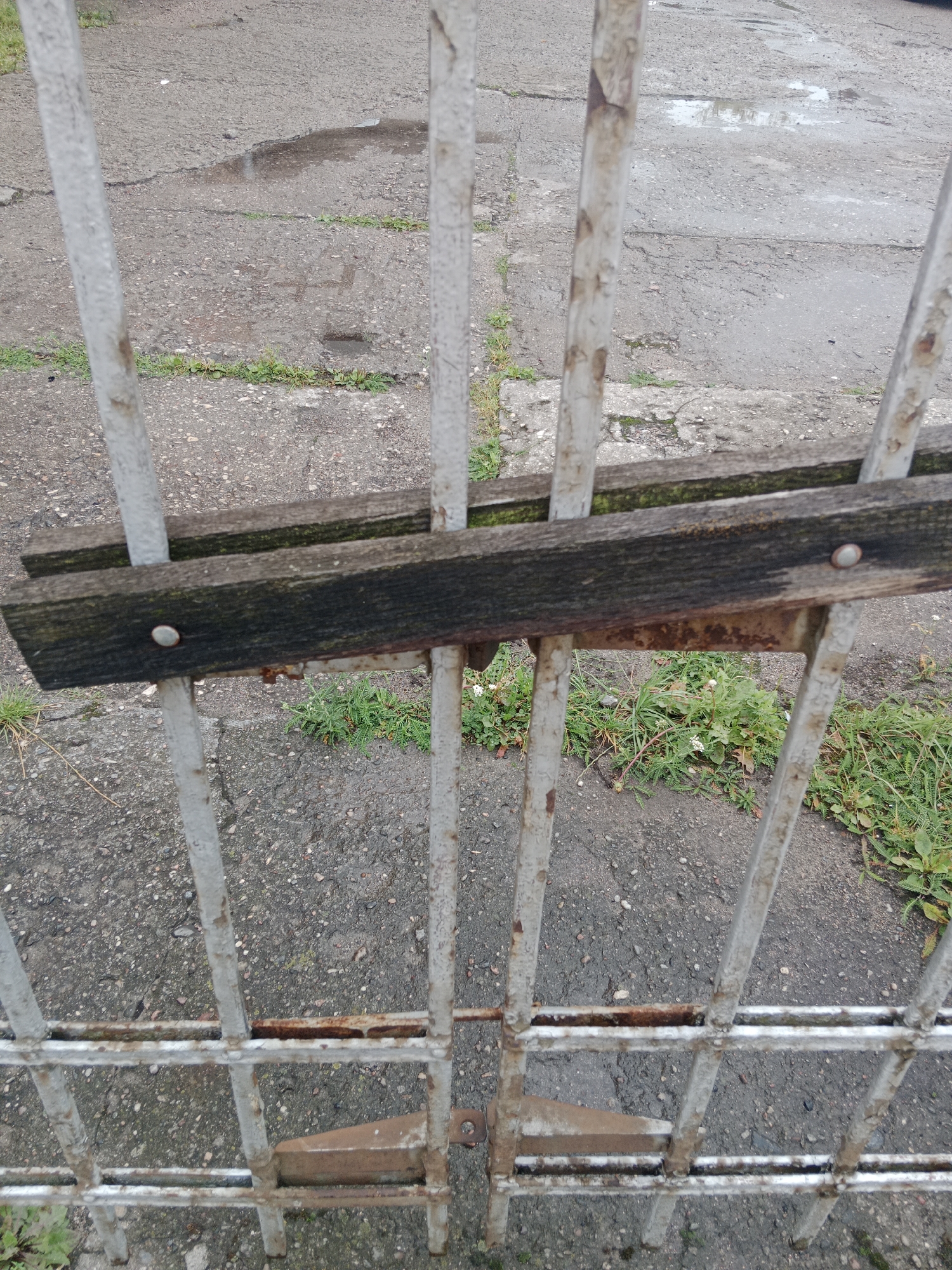 The image shows a close-up of a weathered metal gate with wooden planks attached, situated on cracked asphalt in what appears to be an outdoor area. The gate is made of vertical metal bars, some of which show signs of rust and wear. Two horizontal wooden planks are affixed to the gate, one above the other, with metal screws. The ground is a rough asphalt surface with patches of wetness, suggesting recent rain. Small green weeds are growing through cracks in the asphalt and around the base of the gate. The overall impression is one of a functional but aging barrier in an urban or semi-urban environment. The presence of a wet asphalt surface, the type of fencing, and the vegetation are consistent with an outdoor location in Bydgoszcz, Poland, possibly a park, an alley, or the perimeter of a property. There are no people or visible signs of activity in the frame.