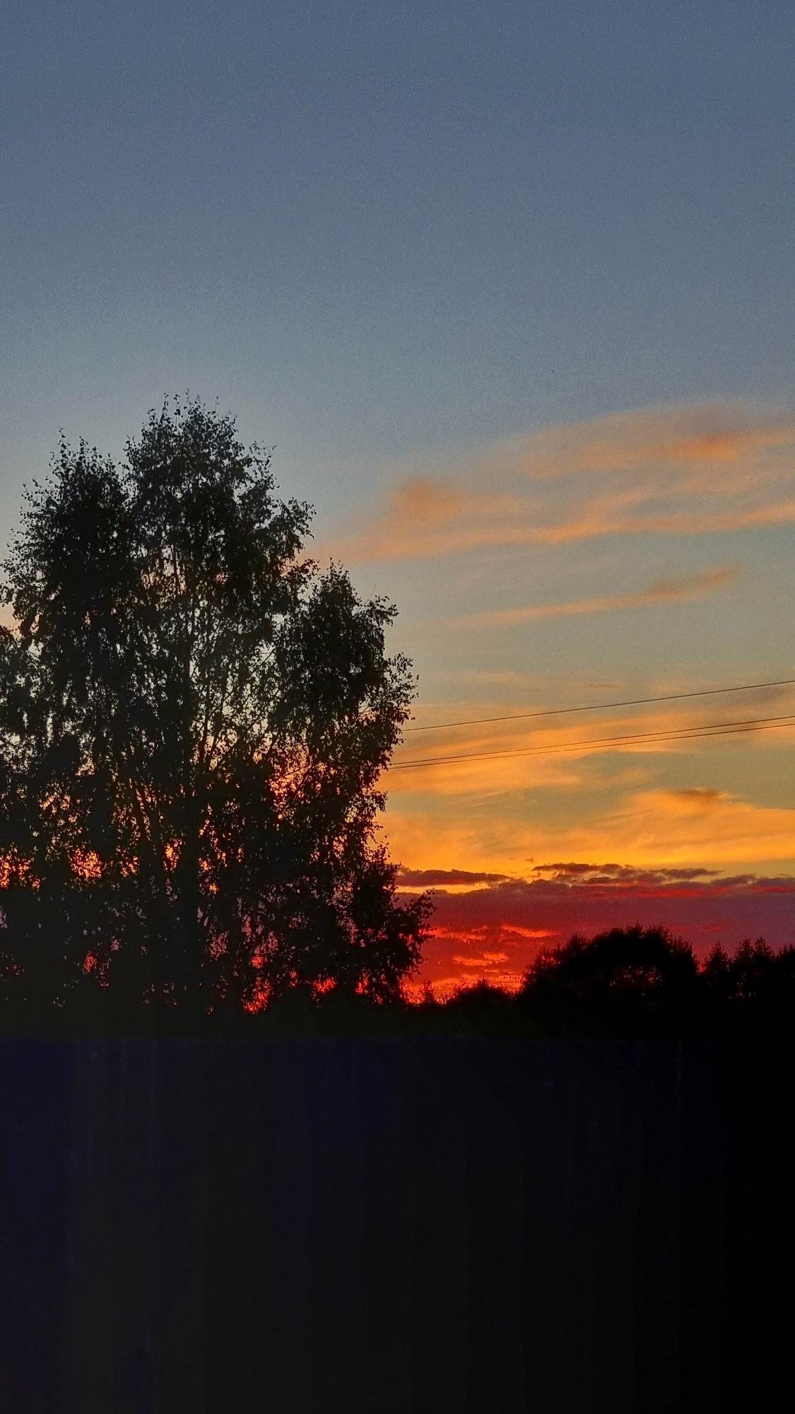 The image depicts a silhouette of a large tree against a vibrant sunset sky. The sky transitions from a clear blue at the top to fiery oranges and reds near the horizon, with wispy clouds catching the last rays of sunlight. Below the tree and sunset, a dark, indistinct mass suggests a landscape, possibly a fence and a line of trees. The scene is likely a natural or semi-natural environment. The location is identified as Vysokoe, Russia.