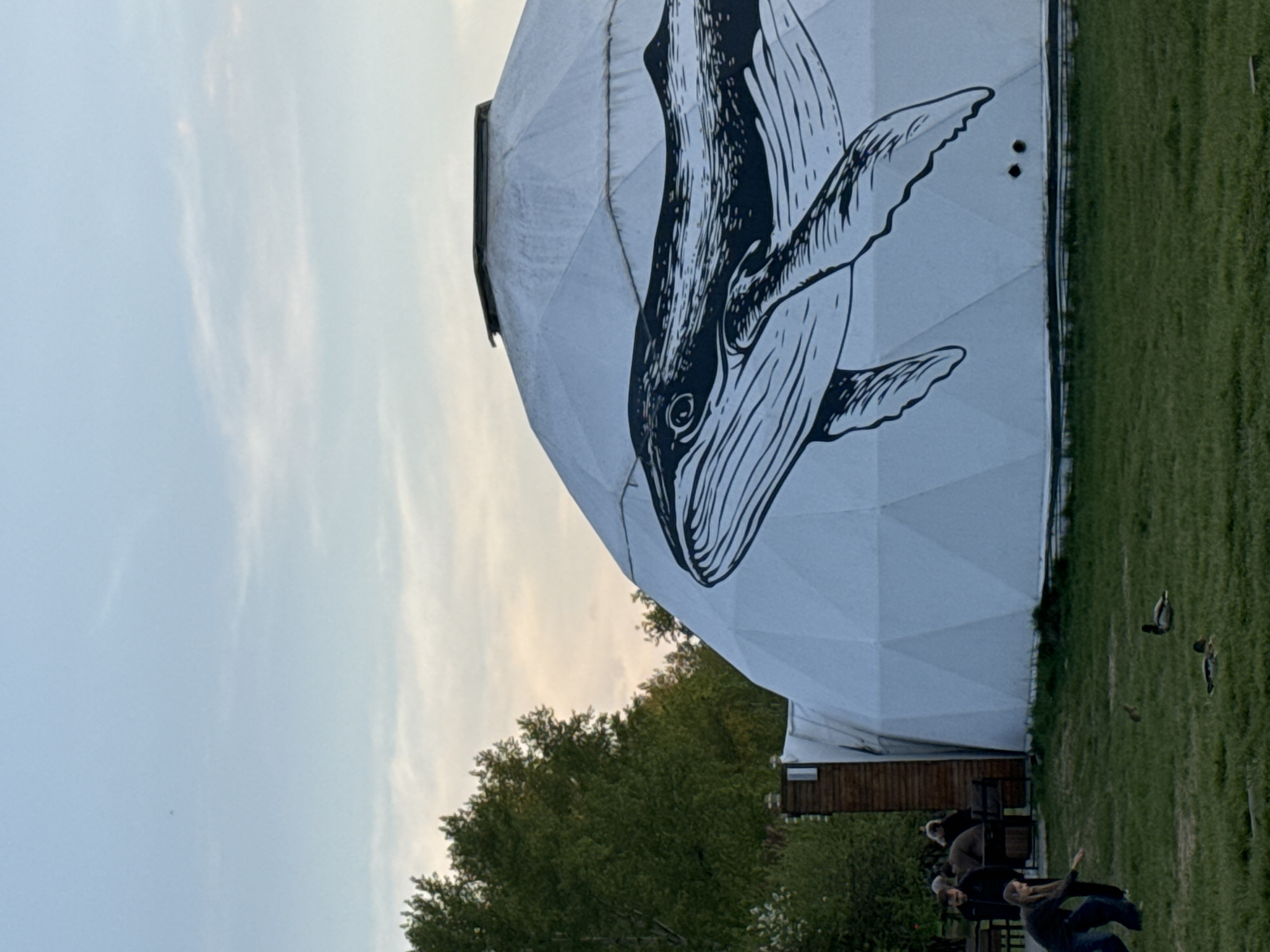 The image depicts a geodesic dome structure adorned with a large black-and-white illustration of a whale. The structure is located in an outdoor setting, possibly a park, near Krasnoyarsk, Russia. In the foreground, several people are present, some standing and others sitting on benches. Green trees and grass surround the scene, and the sky is visible in the background, suggesting an outdoor environment. Several ducks are visible in the grass.