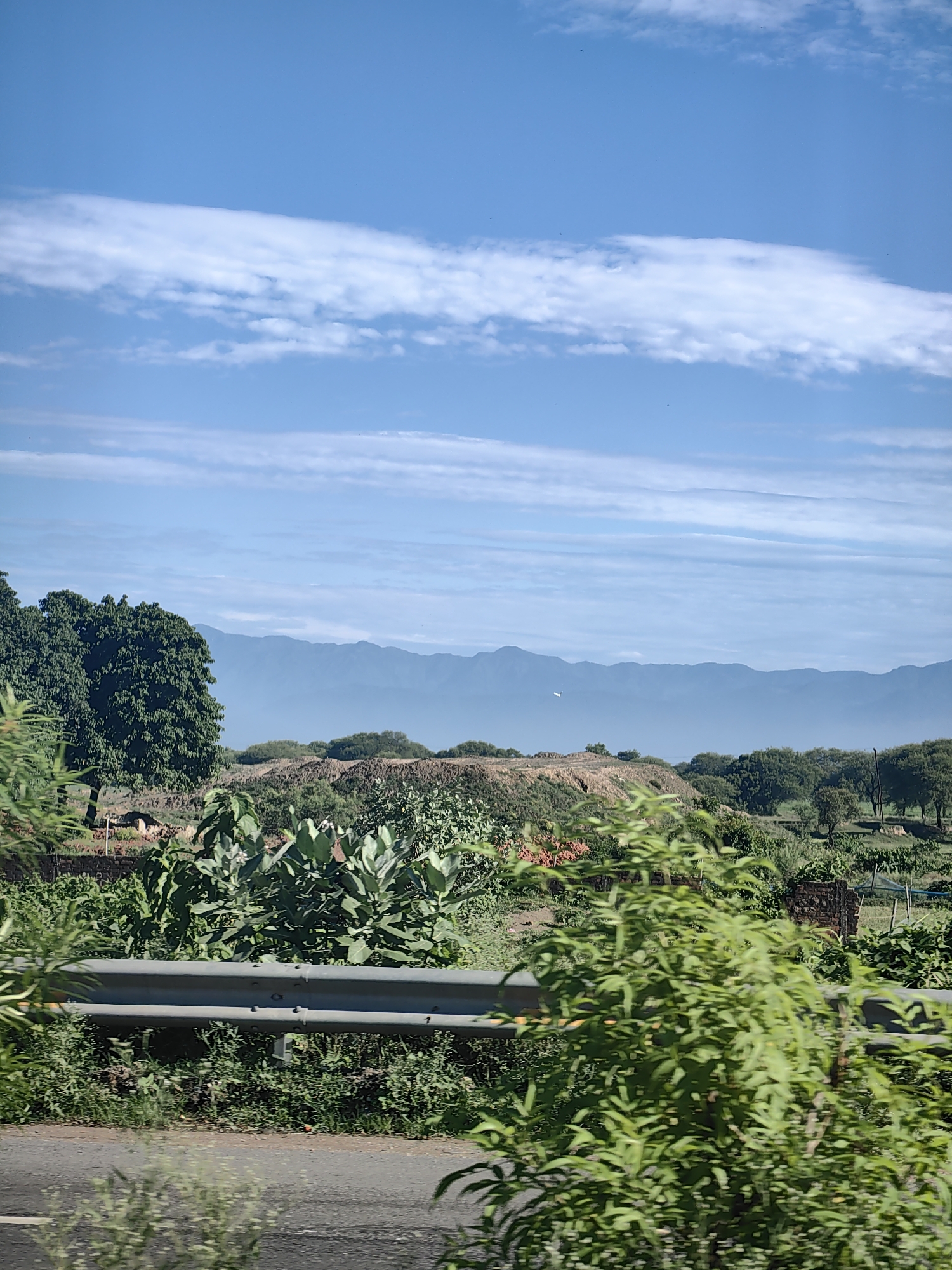 The image captures a scenic vista of a rural landscape, possibly in or around Motipur, Nepal, bathed in the bright light of day. Dominating the upper portion of the frame is a vast, clear blue sky adorned with scattered, wispy white clouds, some stretching horizontally. Below the sky, a range of hazy blue mountains recedes into the distance, their peaks softened by atmospheric perspective.

In the mid-ground, a diverse array of vegetation unfolds. To the left, a cluster of large, lush green trees stands prominently. The terrain appears slightly undulating, with patches of dry, brown earth interspersed with greenery. Further back, more trees and shrubs create a textured, layered effect. There is evidence of human activity, with what appear to be low walls or structures made of stone or brick visible in some areas.

In the foreground, a section of a grey metal guardrail runs horizontally across the lower part of the image, bordering a paved surface that resembles a road. Lush green foliage, including plants with large, broad leaves and smaller, bushier plants with delicate leaves, encroaches on the roadway and the guardrail, suggesting a natural, untamed environment. The overall impression is one of a tranquil, sun-drenched rural setting.