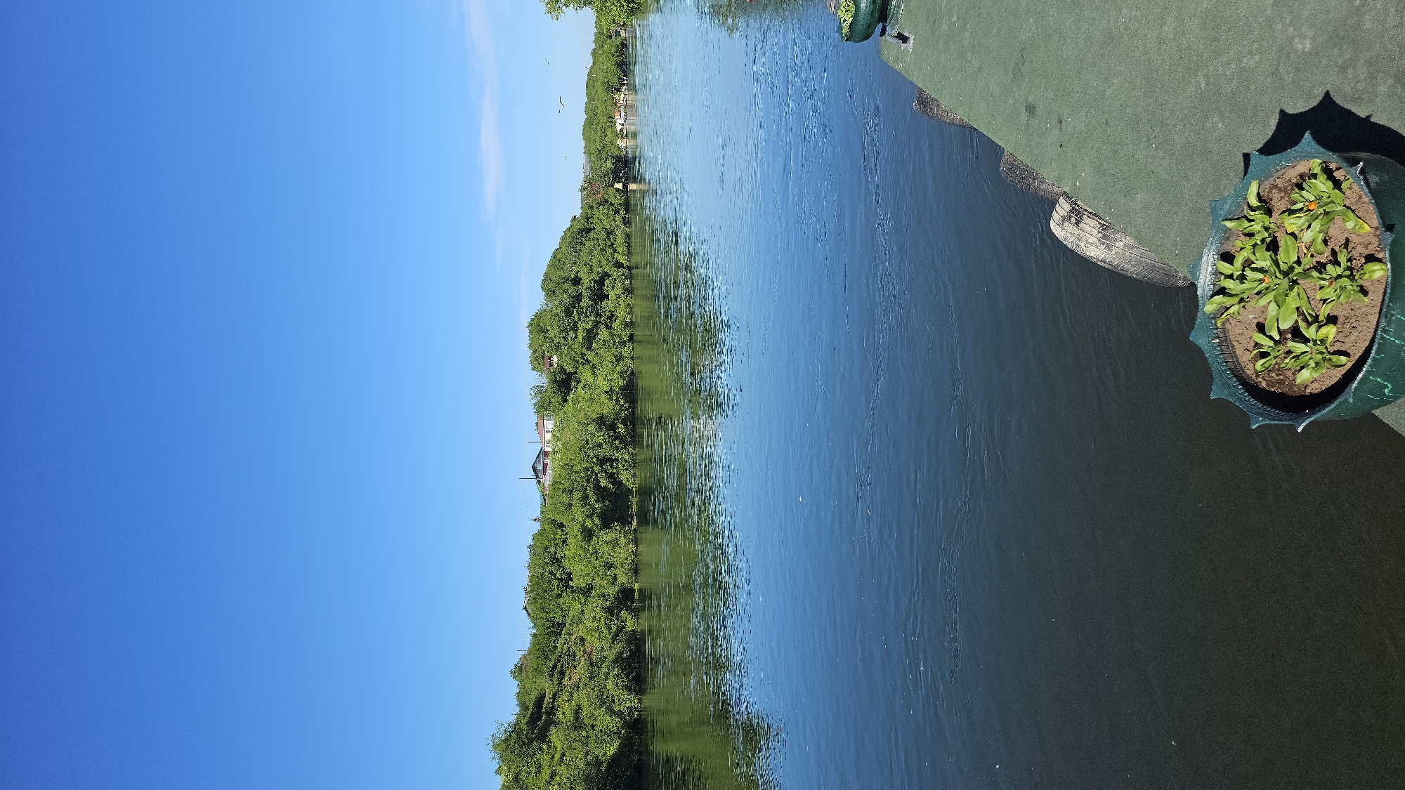 A wide, calm river flows under a clear blue sky. Lush green trees line the riverbanks, and several houses are visible among the trees on the left side of the frame. In the foreground, a green planter with small green plants sits on a green surface. A tire, likely used as a fender, is also visible near the edge of the green surface. The scene appears tranquil and natural. This image was taken in Ust’-Bol’sheretsk, Russia.