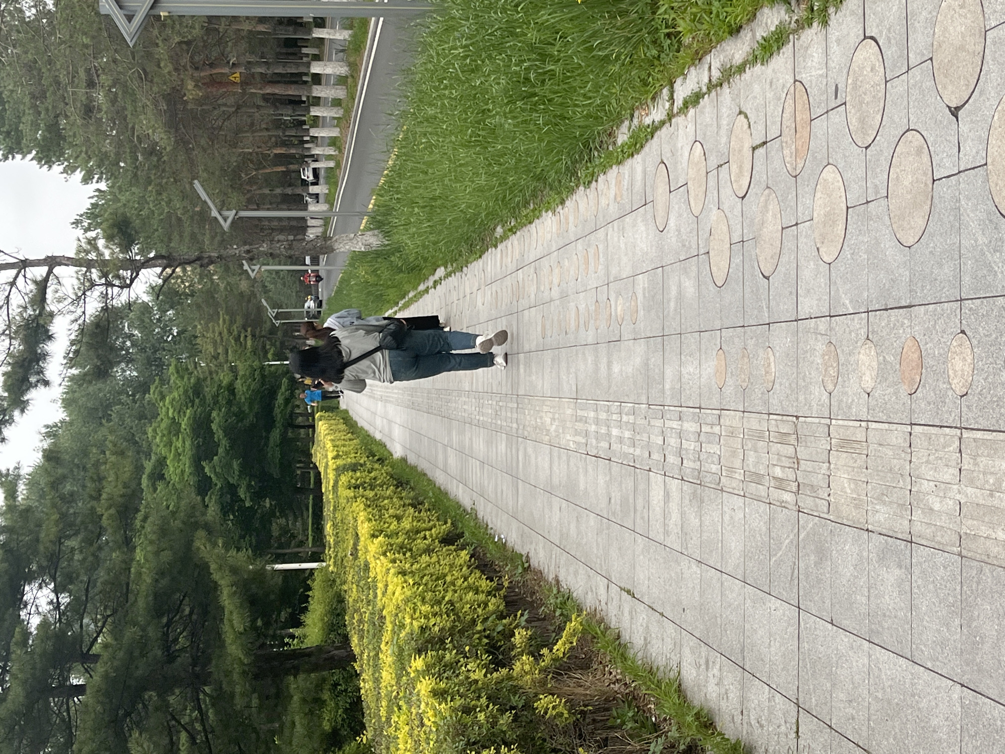 The image depicts an outdoor pedestrian pathway in Changchun City, China, bordered by lush greenery and running alongside a road. The perspective is from slightly behind and to the right of a person walking away from the camera, heading down the path.
The main subject is a person with dark hair, wearing a light grey long-sleeved top, blue jeans, and white sneakers. They are carrying a black shoulder bag and appear to be holding an object in their right hand. They are walking along the paved walkway.
To the left of the path, a vibrant yellow-green hedge, neatly trimmed, separates the walkway from a dense row of tall evergreen trees. Beyond these trees, more extensive foliage is visible, and in the distance, other figures can be seen walking or riding along what appears to be a further road or path.
To the right of the paved path, a strip of green grass leads to a paved road. This road has a white dividing line and is lined by a series of grey concrete barriers or fence posts. Further down the road, vehicles, including a white car and possibly a scooter, are visible. A yellow triangular warning sign with an exclamation mark is mounted on a pole near the road, and tall metal poles, likely streetlights, punctuate the roadside.
The sidewalk is constructed from light grey square tiles, many of which are adorned with decorative circular patterns in light grey and beige. A section of the walkway features textured tactile paving, designed to assist the visually impaired.
The scene takes place during the daytime under an overcast sky, indicated by the soft, even lighting and the lack of harsh shadows. The overall impression is one of a well-maintained urban or park-like environment emphasizing green spaces and pedestrian access.