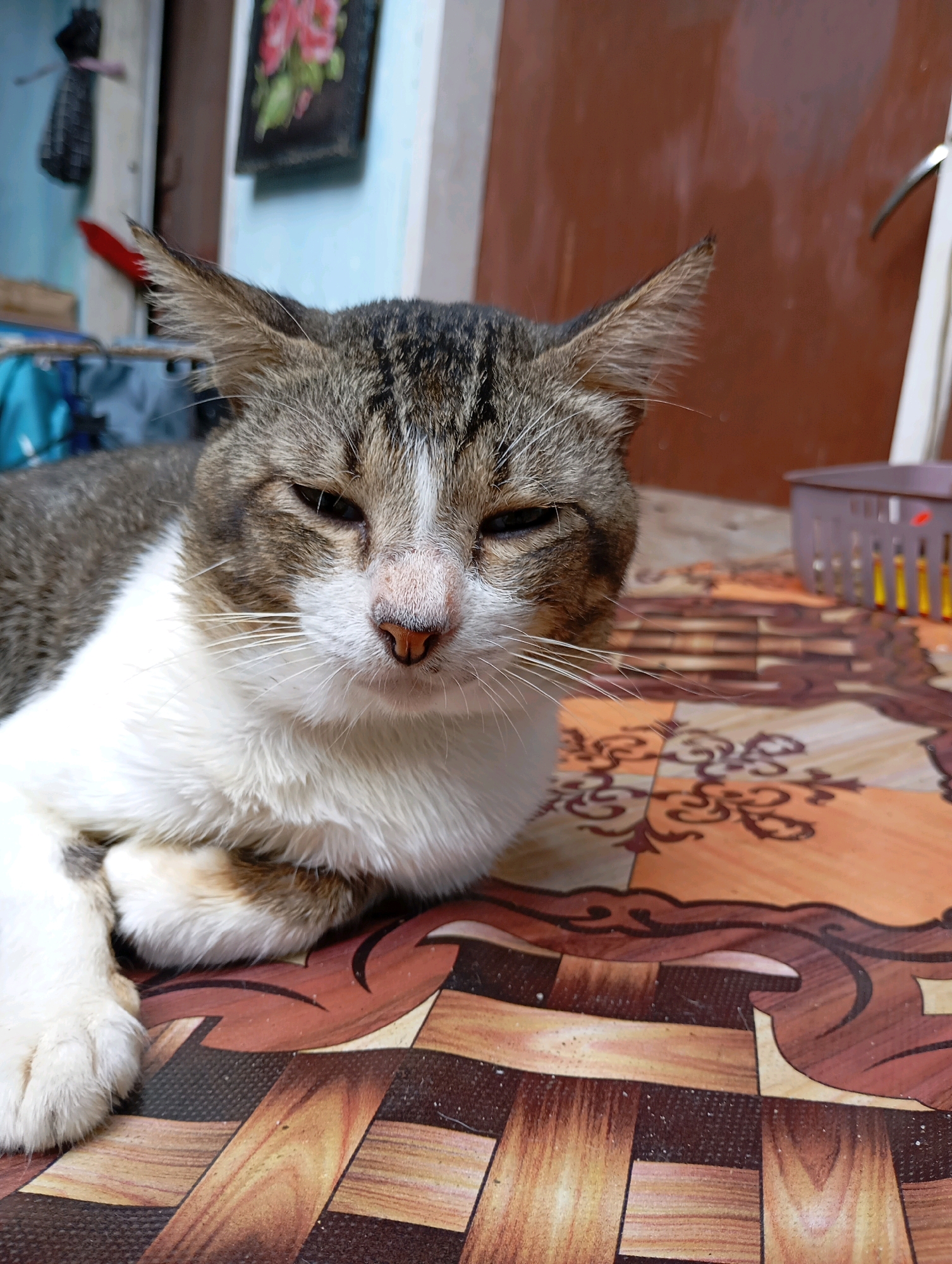 A tabby and white cat is lying down on a patterned surface. The cat is facing forward with its eyes partially closed. The background is out of focus and shows a wall with a framed picture and a basket. This image was taken in Balikpapan, Indonesia.