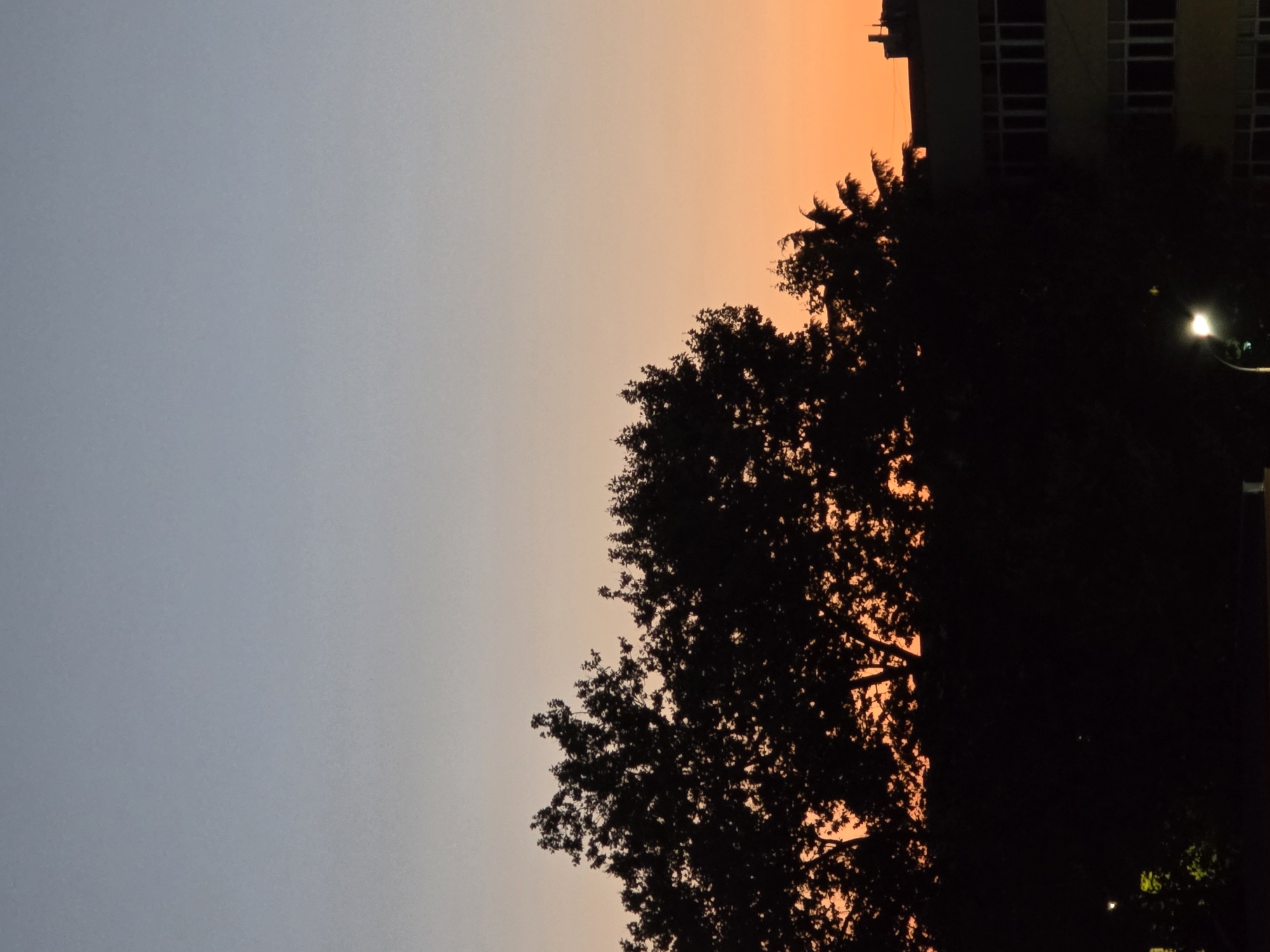 The image depicts a sunset scene over the city of Burgas, Bulgaria. In the foreground, silhouetted trees are visible against a gradient sky, transitioning from a pale blue at the top to a vibrant orange near the horizon. Behind the trees, the upper floors of a building with numerous windows can be seen. A street light is illuminated in the lower left portion of the image. The overall atmosphere is tranquil, characteristic of the evening hours in a city.