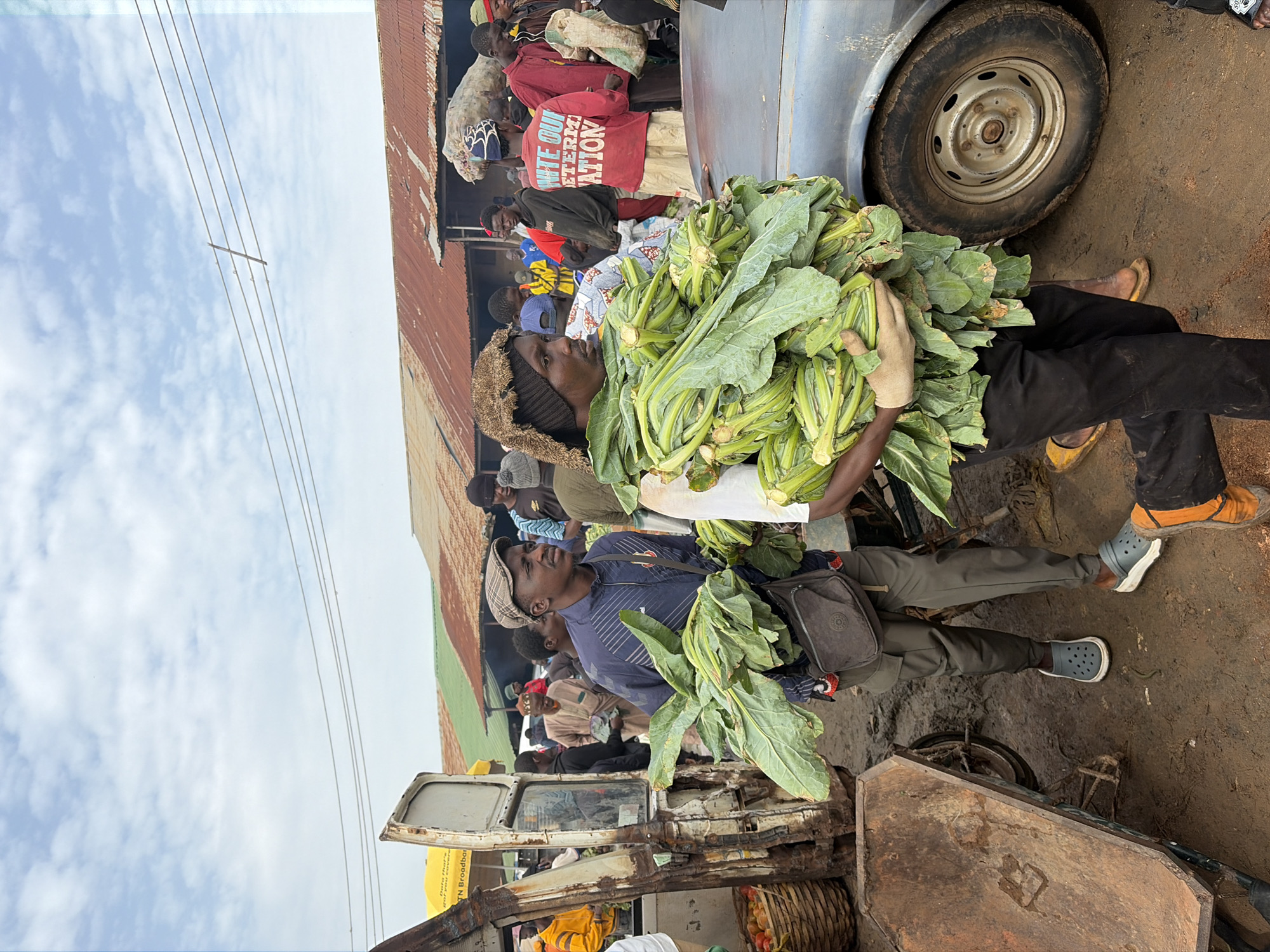 In Gura Top, Nigeria, a busy market scene unfolds under a cloudy sky. A man, wearing a cap and a blue jacket, carries a large bunch of leafy green vegetables. To his right, another person, dressed in a beanie and a fur-lined hood, also carries a substantial amount of the same green vegetables, their hands gloved. In the background, stalls with corrugated iron roofs are visible, and various people are engaged in market activities. A rusted wheelbarrow rests on the muddy ground to the left, and a car's tire is visible on the right. The overall atmosphere suggests an active marketplace with vendors and shoppers.
