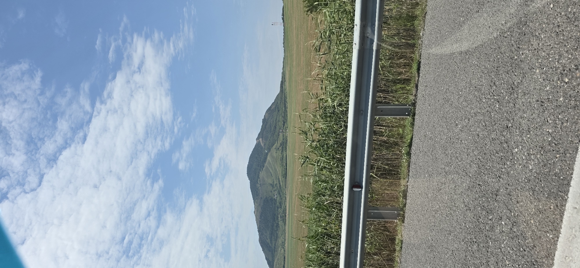 The image depicts a roadside view overlooking a vast landscape. In the foreground, a grey asphalt road is visible with a metal guardrail separating it from a dense patch of tall green reeds and dry grass. Beyond the vegetation, a wide expanse of cultivated fields stretches towards a distant, gently sloping mountain. The mountain is covered in a mixture of green foliage and sparse, lighter-colored patches. The sky above is a clear blue, dotted with fluffy white clouds. Two tall, slender structures, possibly electrical transmission towers, are faintly visible on the horizon to the right of the mountain. The scene is captured on a bright, sunny day, suggesting an outdoor, rural setting. The overall impression is one of natural scenery, likely on the outskirts of a populated area.