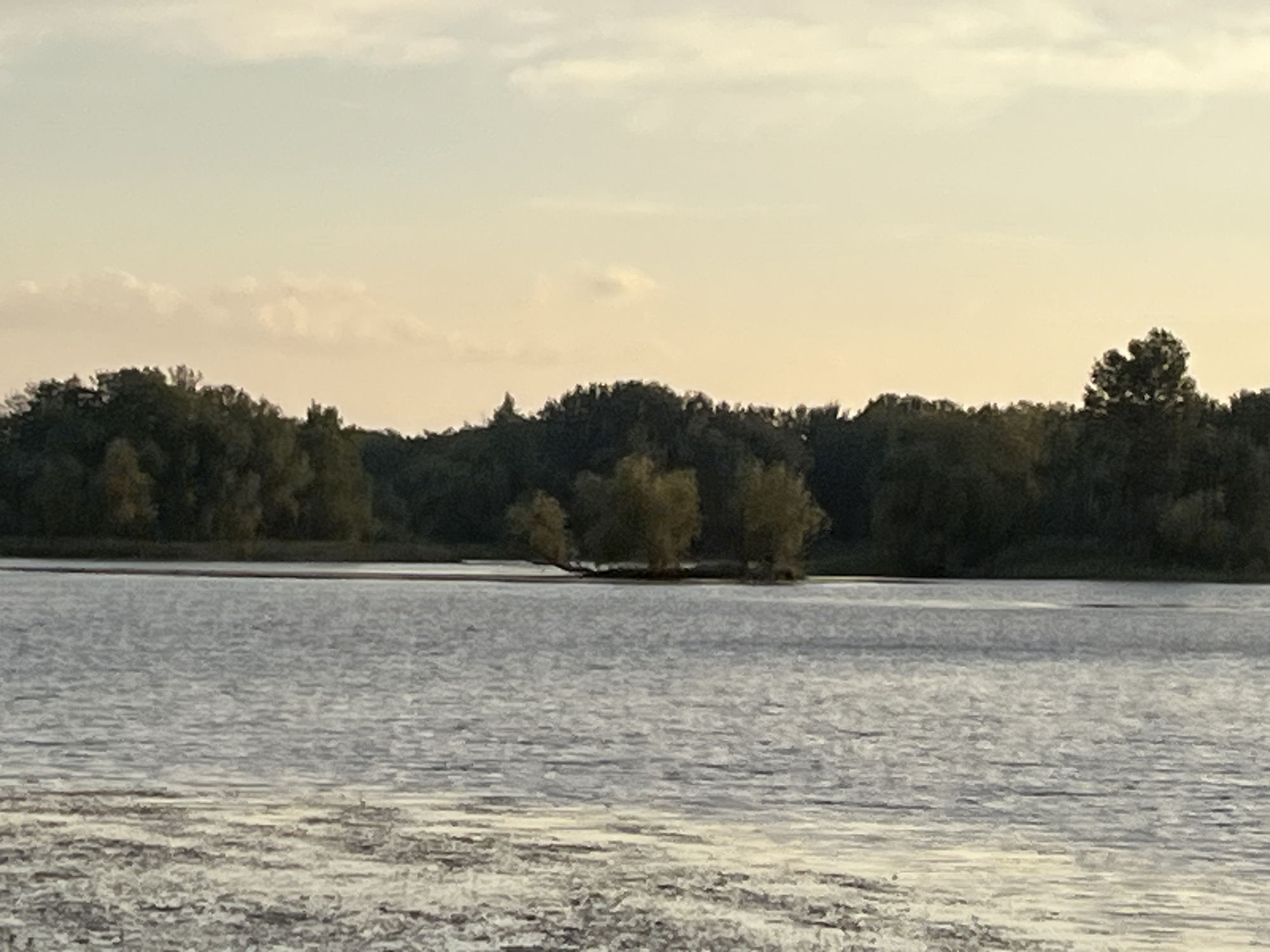 The image shows a serene landscape with a wide body of water in the foreground, reflecting the soft light of a hazy sky. The water's surface is rippled, creating a textured pattern of light and shadow. Beyond the water, a dense line of trees forms the horizon, with the foliage appearing green and lush. In the middle distance, a small cluster of trees stands slightly apart, possibly on a small island or a shallow protrusion into the water. The sky above is a pale gradient of yellow and light blue, with wispy clouds scattered across it. The overall impression is one of natural tranquility. The location is in the city of Шумейка, Russia.