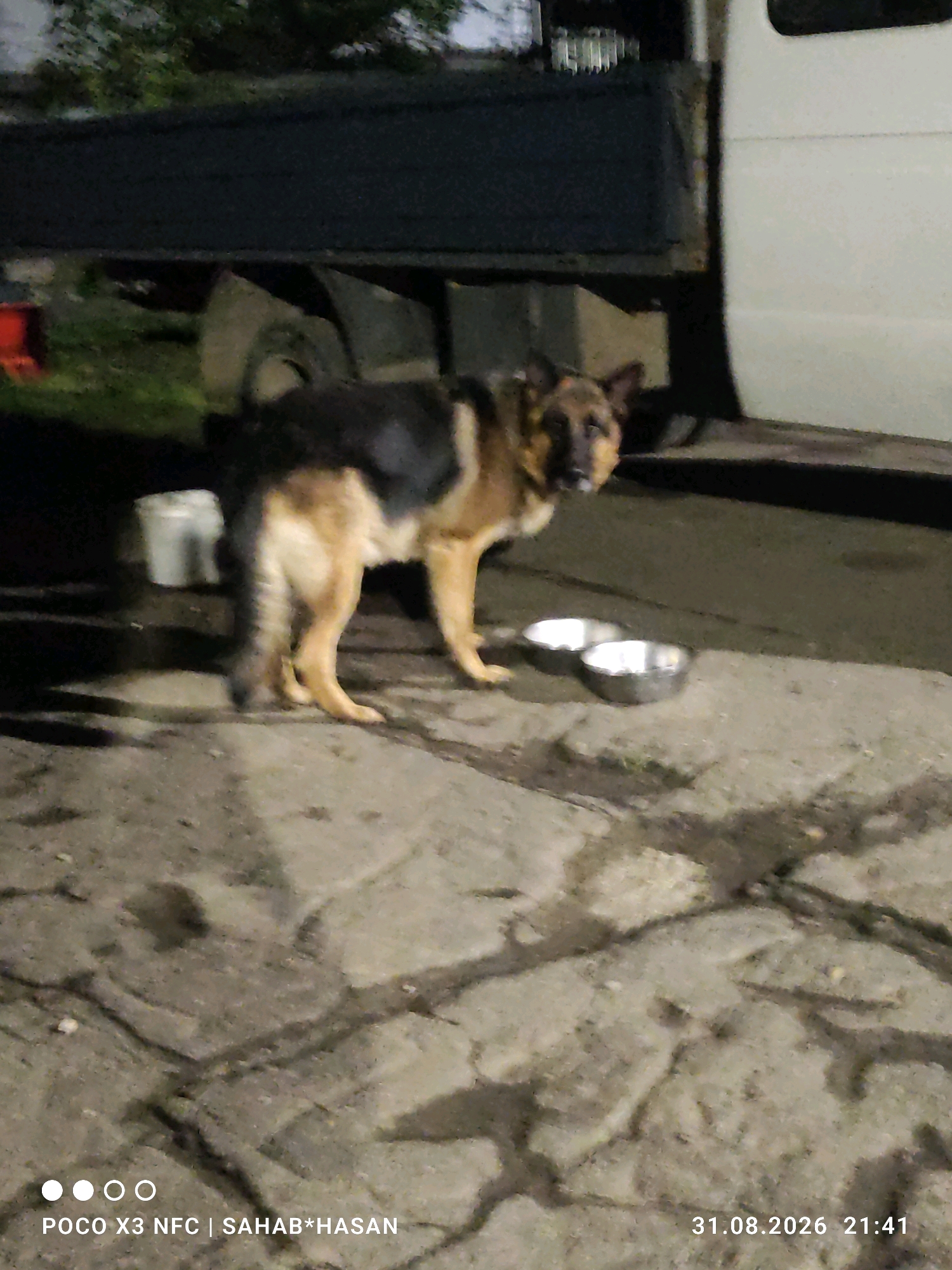 An adult German Shepherd dog stands on a paved surface next to two metal bowls. The dog is facing left, with its tail and hindquarters blurred as if in motion. In the background, a dark-colored truck bed is visible, with a white van parked to its right. The ground appears to be a rough, uneven pavement with some wet patches. The scene is dimly lit, suggesting it is nighttime or dusk. The image also contains text overlaying the bottom, indicating "POCO X3 NFC | SAHAB*HASAN" and a date and time stamp of "31.08.2026 21:41." No specific landmarks or details suggest a location within the city of Kostroma, Russia.