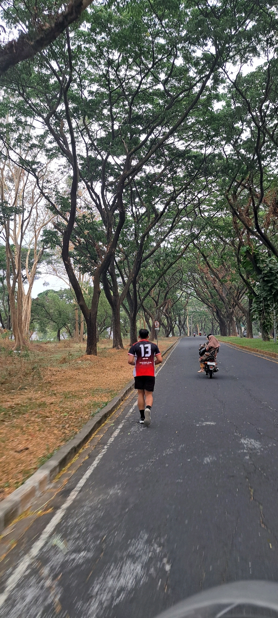 In Bulukandang, Indonesia, a person runs on the right side of an asphalt road lined with trees that create a canopy overhead. The runner, wearing a black and red jersey with the number "13" and black shorts, is captured from behind. Further down the road, another individual rides a motorcycle, also seen from behind, wearing a brown hijab. The left side of the road features a grassy verge covered with fallen leaves and a concrete curb. The overall scene suggests an outdoor recreational activity taking place on a paved road within a park-like or tree-lined urban environment.