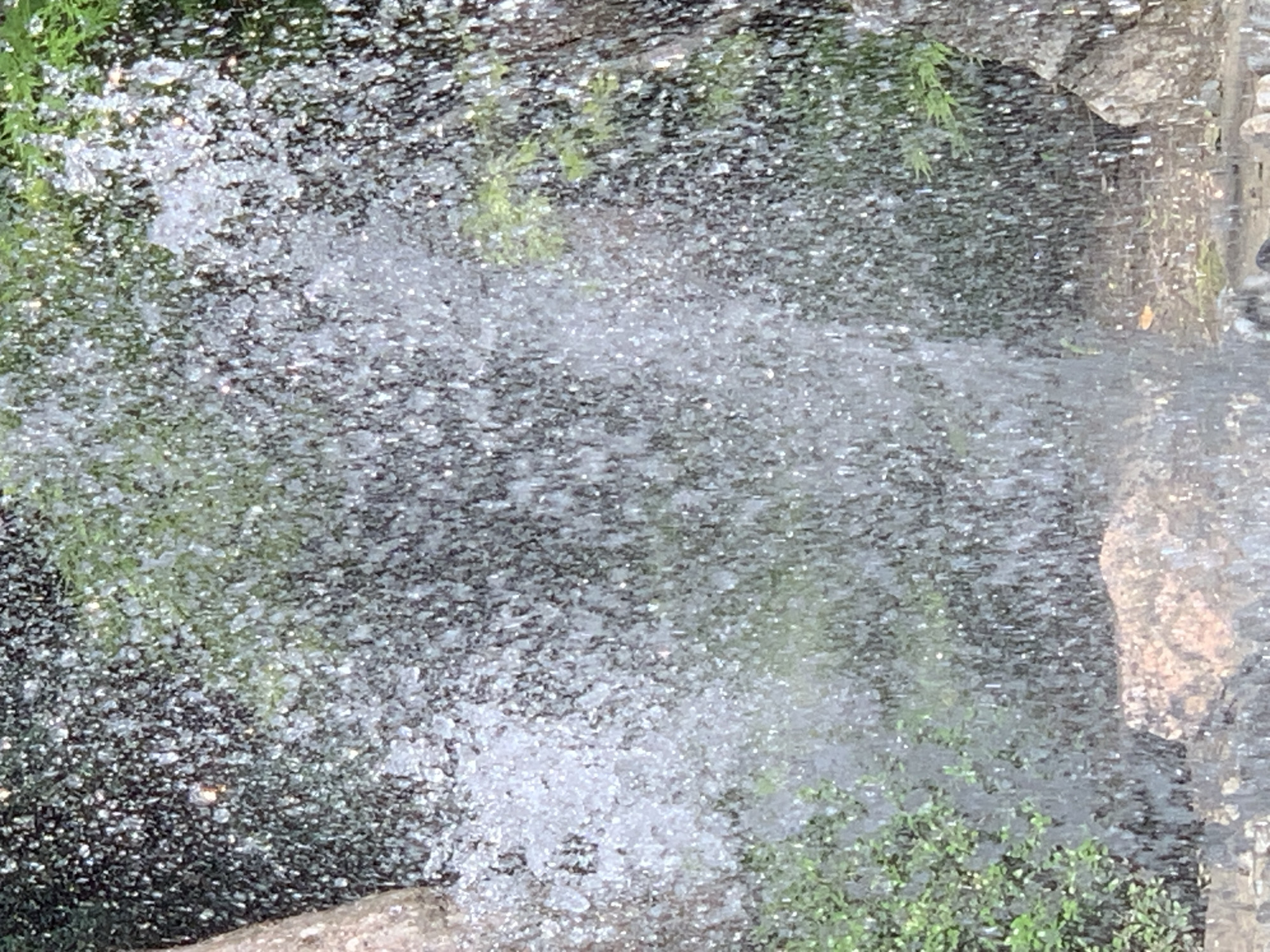 The image captures a dynamic outdoor scene dominated by a thick spray or curtain of water droplets. Thousands of individual water particles are brightly illuminated, creating a shimmering, almost pixelated effect across the frame. These droplets glisten with light, reflecting their surroundings and appearing primarily white and silver against darker areas.
Behind the active water spray, various shades of green foliage are visible, suggesting plants or bushes. These green elements are somewhat obscured and softened by the water, appearing as a blurred backdrop through the water curtain. To the right side of the image, rocky textures are discernible. These appear as irregular, brownish-gray formations, possibly part of a wall, a cliff face, or large stones.
The activity depicted is the continuous movement of water, likely from a waterfall, fountain, or a strong spray, as it falls or disperses. The bright illumination of the water indicates that the scene is set during the daytime, with ample light causing the droplets to sparkle. There are no people or specific objects clearly identifiable within the water or the background. No text is visible in the image. The overall impression is one of natural motion and effervescence.