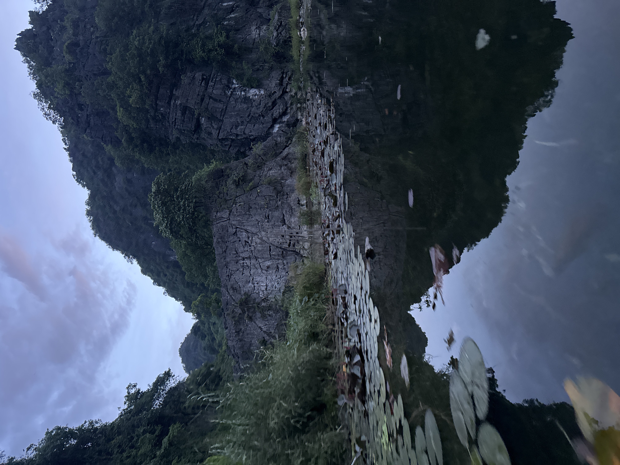 A vertical, medium shot captures a serene twilight scene on a body of water, likely a river or lake, surrounded by lush vegetation and imposing limestone karsts. In the foreground, the dark, calm water reflects the cloudy sky and the mountainous landscape. Lily pads and a few small pink lotus flowers dot the surface of the water, adding splashes of color to the predominantly muted tones of the scene.
Behind the water, a rocky embankment rises, covered in dense green foliage, grasses, and some taller reeds on the left. The rocks appear weathered and striated, indicative of natural erosion over time. Towering over the embankment are dramatic, jagged limestone karsts, their dark, shadowed faces covered in trees and vegetation, creating a sense of scale and ruggedness.
The sky above is a soft, dusky blue, with wispy clouds tinged with faint hints of pink and orange from the setting sun, suggesting either dawn or dusk. The overall atmosphere is peaceful and natural, typical of the karst landscape found in areas like Nam Hoa Lư Ward, Vietnam, known for its similar natural formations and waterways. No people or man-made structures are visible in the frame, emphasizing the untouched beauty of the natural environment.