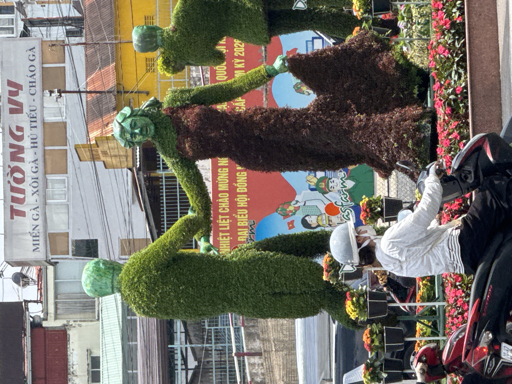 In Da Lat, Vietnam, a street scene features two topiary figures, one male and one female, dressed in stylized clothing made of greenery. The female figure wears a dark, flowing dress, while the male figure is in green attire. They appear to be holding hands. Behind them, a large banner displays Vietnamese text and imagery, including depictions of people in uniform. To the right, another green topiary figure is partially visible. In the foreground, a person wearing a white hoodie, a light blue helmet, and a face mask rides a red and black scooter. The scooter is parked behind a display of potted flowers, with red and pink blooms prominent in the foreground and yellow and orange flowers in the background. The background shows buildings with signs, including one with red lettering that reads "TUONG VY". The overall atmosphere suggests a festive or celebratory event, possibly related to a holiday or public gathering in Da Lat.