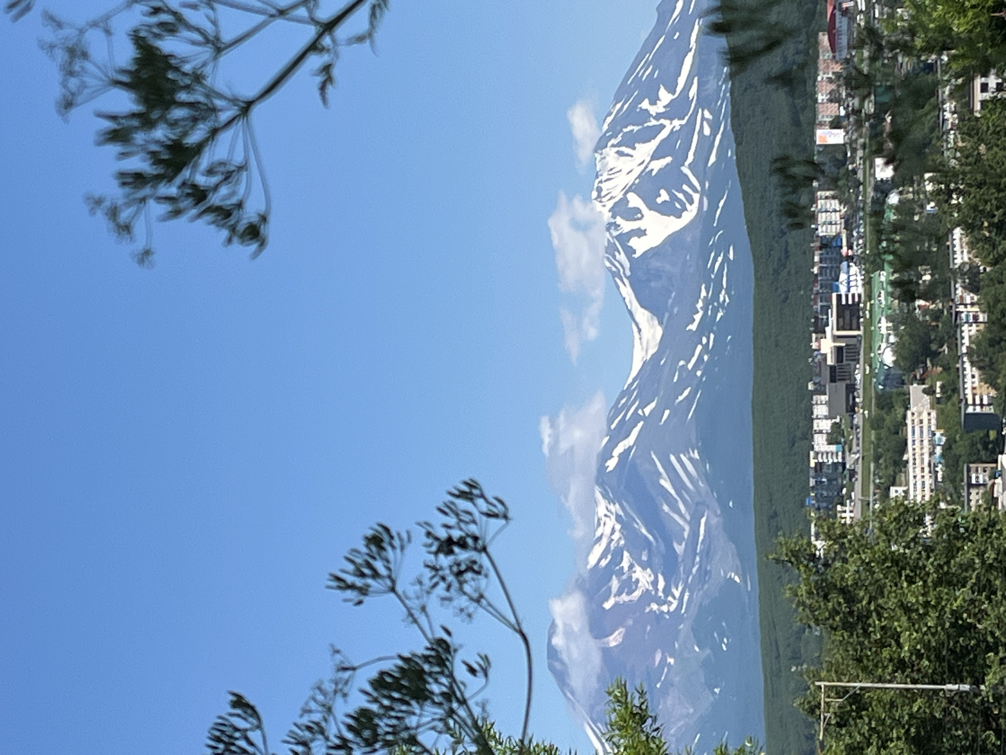 The image captures a panoramic view of Petropavlovsk-Kamchatsky, Russia, with snow-capped volcanoes dominating the background. In the foreground, lush green trees frame the scene, with branches and foliage partially obscuring the view. Beyond the trees lies a city landscape characterized by a mix of multi-story residential buildings and some commercial structures, evident in various colors and architectural styles. The city appears to be nestled on rolling hills, with a clear blue sky overhead, dotted with a few wispy clouds. The snow on the volcanoes suggests a cooler climate or high altitude, typical of the Kamchatka Peninsula. The image is taken from an elevated vantage point, offering a broad perspective of the urban area against the backdrop of the striking natural landscape. There are no people or visible actions depicted in the image, suggesting a static, scenic moment.