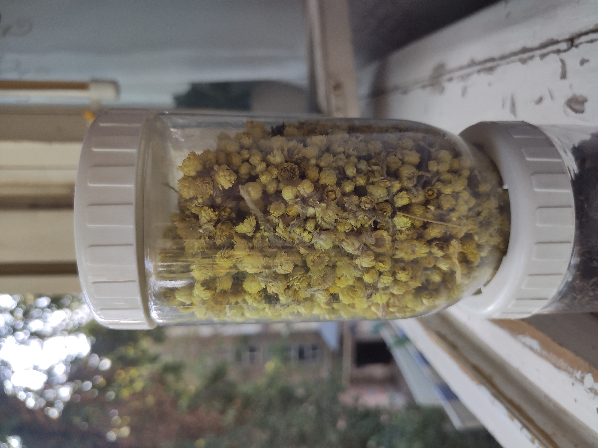 A close-up, eye-level shot shows a clear glass jar filled with dried yellow flowers. The jar has a white screw-on lid. The jar is positioned on a weathered white wooden surface, which appears to be a windowsill. Behind the jar, through the glass and out of focus, are trees with blurred green foliage and bright circular highlights, suggesting sunlight filtering through leaves. A building with visible windows can be seen in the middle ground. The overall scene suggests an indoor setting looking out onto an urban or suburban environment, possibly in Tashkent, Uzbekistan, given the architectural style visible. The lighting is natural, coming from the outside. No people are visible in the frame.