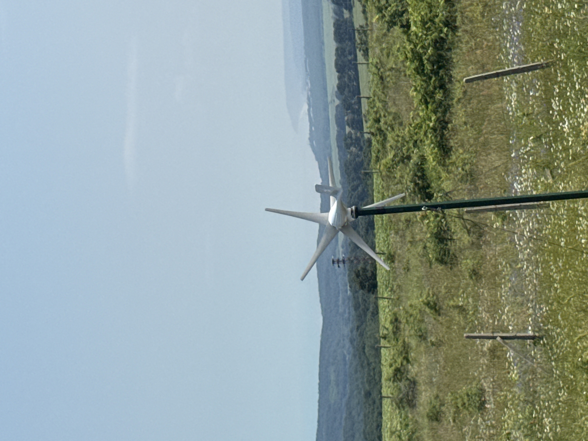 The image captures a rural landscape in what appears to be Bliznatsi, Bulgaria, under a bright, hazy blue sky. In the foreground, positioned towards the right, stands a small, white, three-bladed wind turbine, mounted on a tall, slender green pole. Its blades are visible and appear static or slowly turning.
The ground around the turbine is covered in lush green vegetation, resembling a field of grass possibly interspersed with wildflowers, which appear as scattered white and lighter green patches. Several rustic wooden posts are visible within this field, suggesting a fence line or marking.
Behind the immediate foreground, a dense line of trees or forest stretches horizontally across the mid-ground, forming a natural barrier. Beyond this treeline, distant rolling hills or mountains are visible, their forms softened and lightened by atmospheric haze, blending into the pale sky.
The scene conveys a peaceful, open, and natural outdoor environment, likely during daytime given the bright illumination. There are no people visible, and no discernible text is present. The focus is on the interplay of nature and a small-scale renewable energy structure.