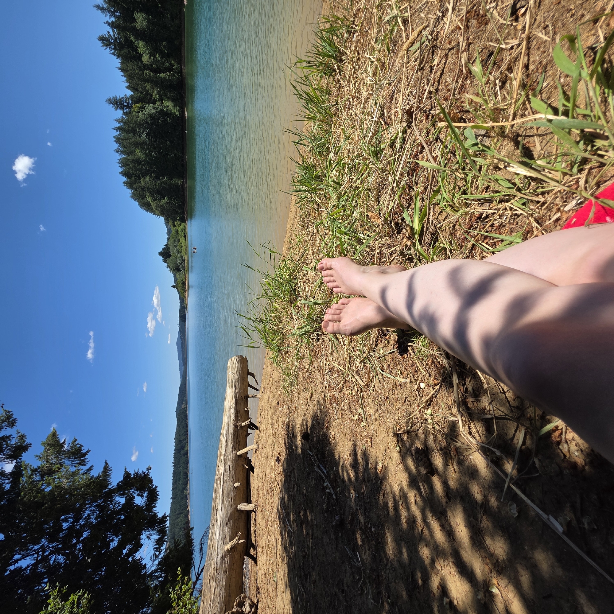 The image depicts a close-up view of a person's legs and feet resting on a sandy shore beside a body of water, likely a lake or reservoir. The person is lying down, with their legs crossed and bare feet visible. The foreground is dominated by the sandy ground, interspersed with dry grasses and some green vegetation. Shadows from a nearby tree dapple the ground. In the background, a large fallen log rests on the shore. Beyond the log, a calm body of blue-green water stretches out, with a tree-lined shore visible in the distance. The sky is a clear blue with a few scattered white clouds. The overall scene suggests a peaceful outdoor setting, possibly a recreational area. The location is identified as Cherry Grove, United States.