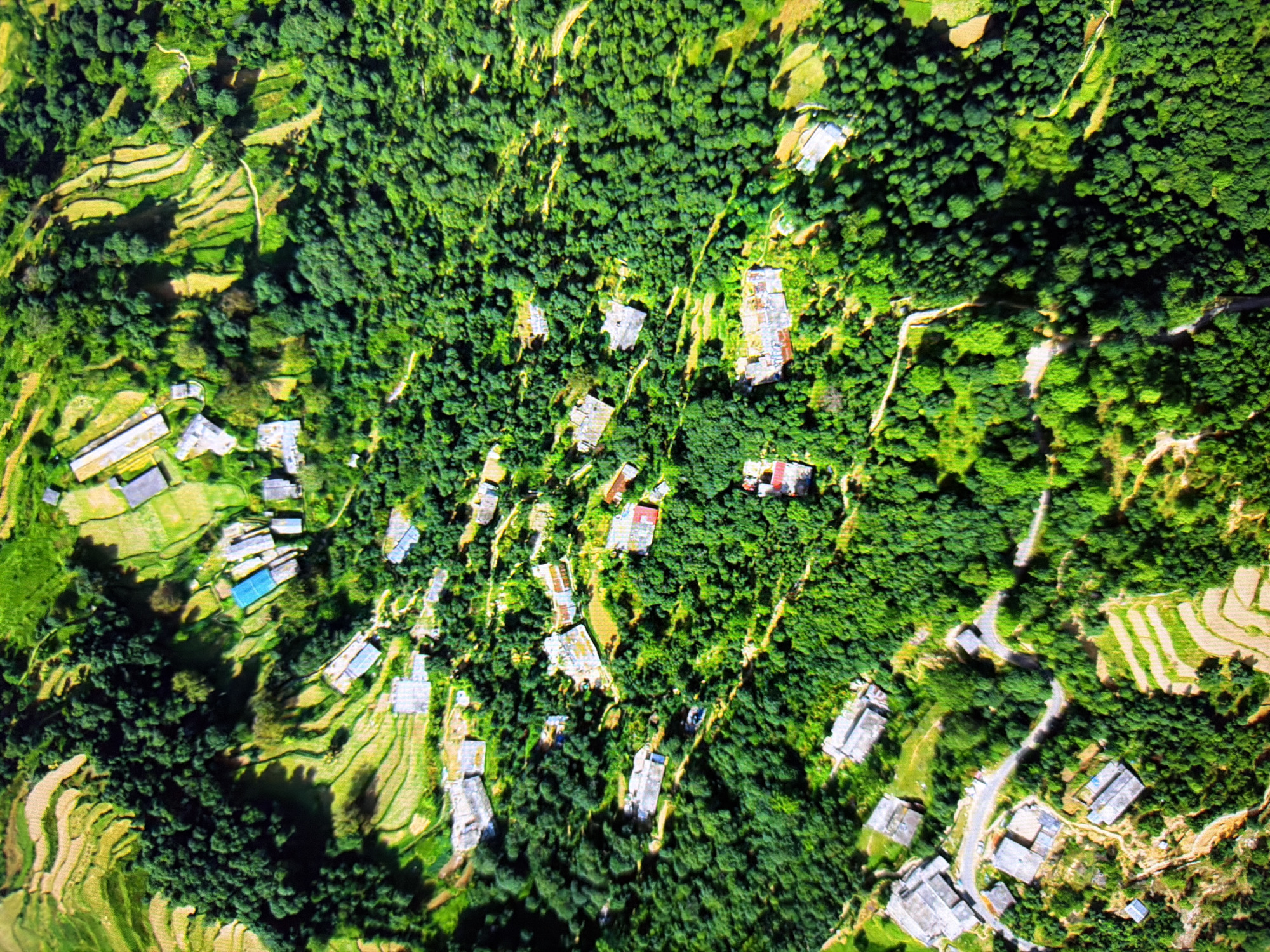 This is an aerial drone photograph looking down on a rural mountainous landscape covered in dense green trees and terraced fields. Scattered throughout the landscape are several buildings, some with light-colored roofs and others with darker, possibly corrugated metal roofs. There are also roads winding through the trees, connecting some of the buildings. The overall scene depicts a remote, possibly agricultural community nestled within a natural environment. There is no indication of the city of Kyiv, Ukraine in this image.