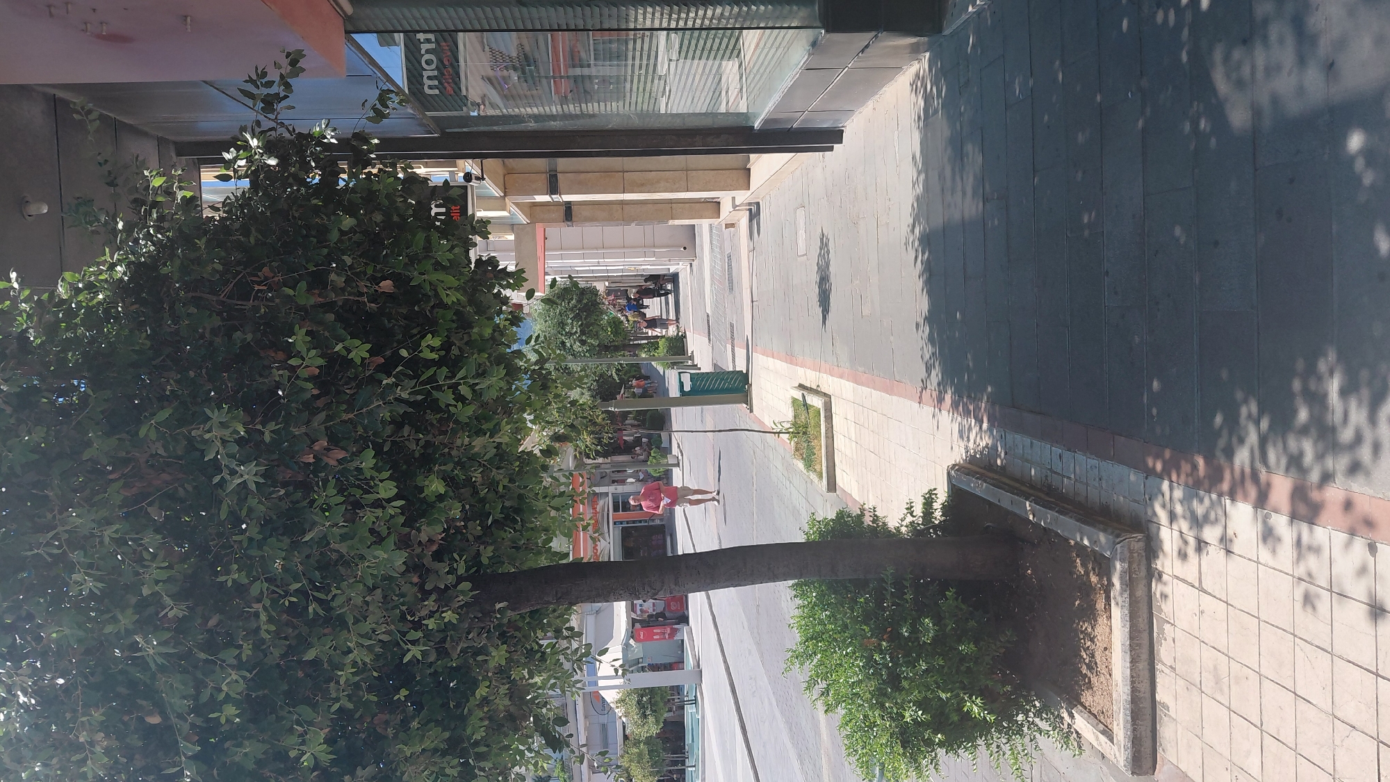 A sunny daytime scene on a city street in Aegio, Greece. A paved sidewalk runs alongside buildings, with a street on the left. A man in a coral-colored shirt and light shorts walks down the sidewalk. Trees are planted along the sidewalk in planter boxes. The building on the right has large windows with blinds. The scene is lit by sunlight, casting shadows from the trees onto the sidewalk.