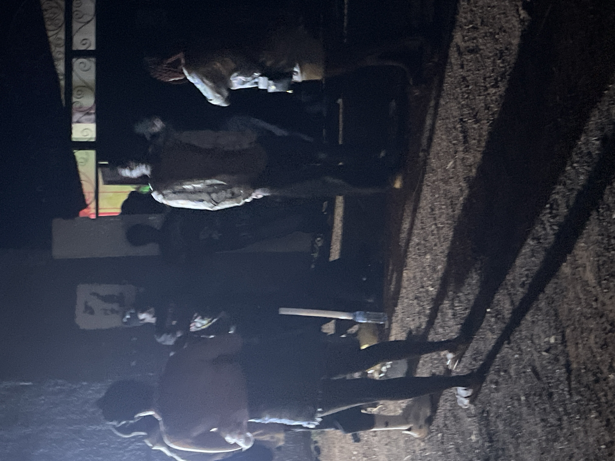The image depicts a dimly lit outdoor scene, possibly at night, with several individuals present. The setting appears to be a residential or communal area, with rough ground and some vegetation visible. In the foreground, a woman is standing, facing away from the camera, wearing shorts and a top. To her left, another person is partially visible. In the background, a group of people are gathered, some standing and others appearing to be in conversation. One individual in the middle appears to be wearing a patterned shirt. The lighting is low, creating strong shadows, and the overall atmosphere is somewhat casual and social. There are no specific identifiable landmarks or indications of the city of Durimi, Nigeria in the image.