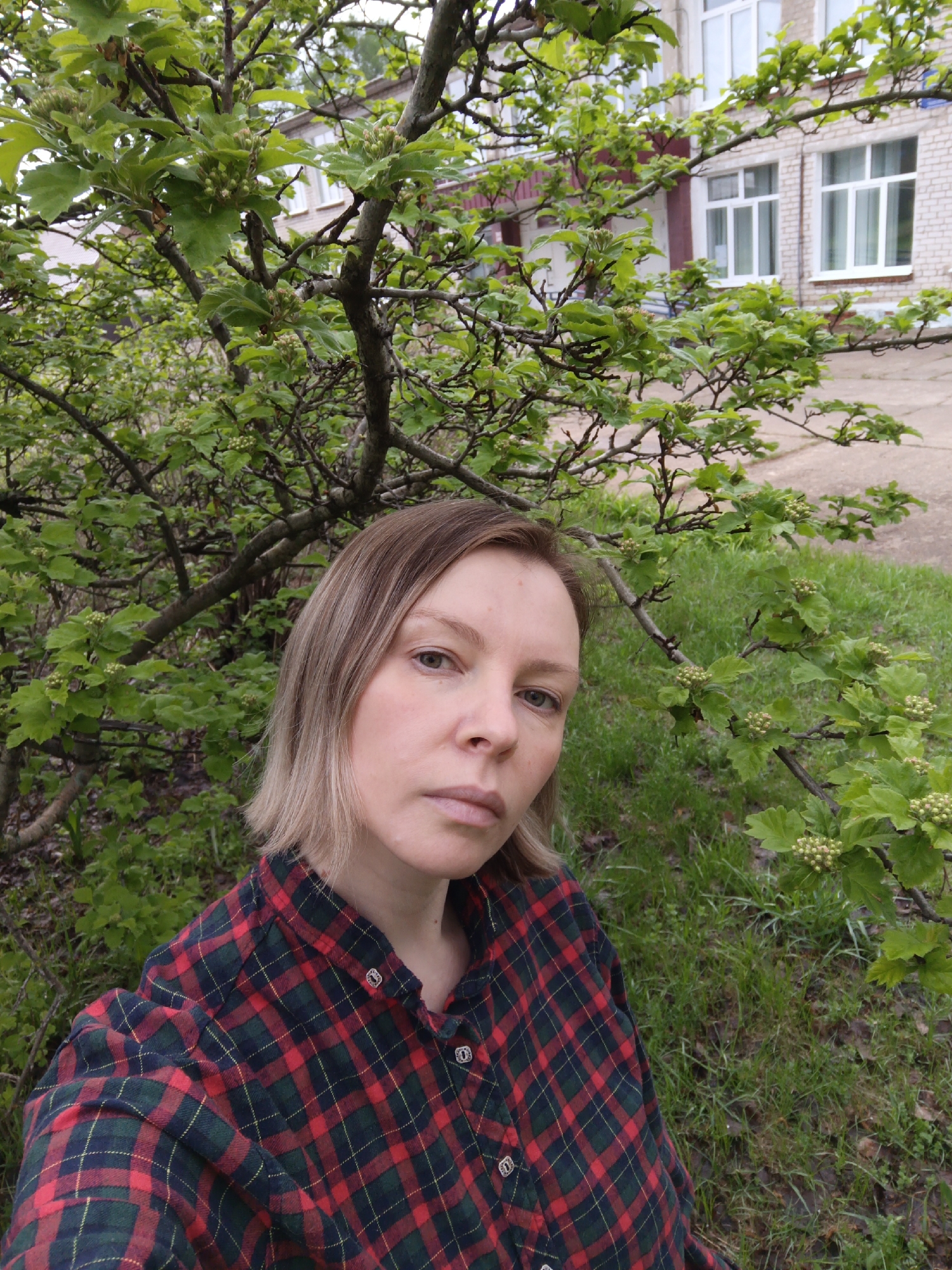 A woman with light brown hair, wearing a red and green plaid shirt, is positioned in front of a tree with light green leaves and small, budding flower clusters. Behind the tree, a two-story brick building with white-framed windows is visible. The ground is covered in green grass, typical of the vegetation in Chaikovsky, Russia, suggesting an outdoor setting. The location is likely in a park or green space within Chaikovsky, Russia.