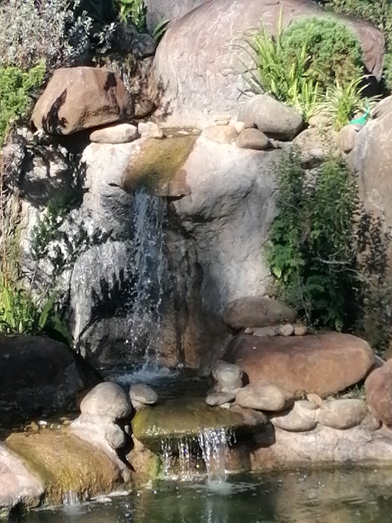The image depicts a cascading rock waterfall in an outdoor setting. The waterfall flows down a series of large, rounded rocks and into a body of water at the bottom. Lush green vegetation, including grasses and leafy plants, grows around and between the rocks. The scene is bathed in natural light, creating highlights and shadows on the wet surfaces of the rocks and the flowing water. The overall impression is of a natural, tranquil water feature. The image does not contain any people or specific man-made structures, making it difficult to place in a specific urban context such as Da Lat, Vietnam, without further information.