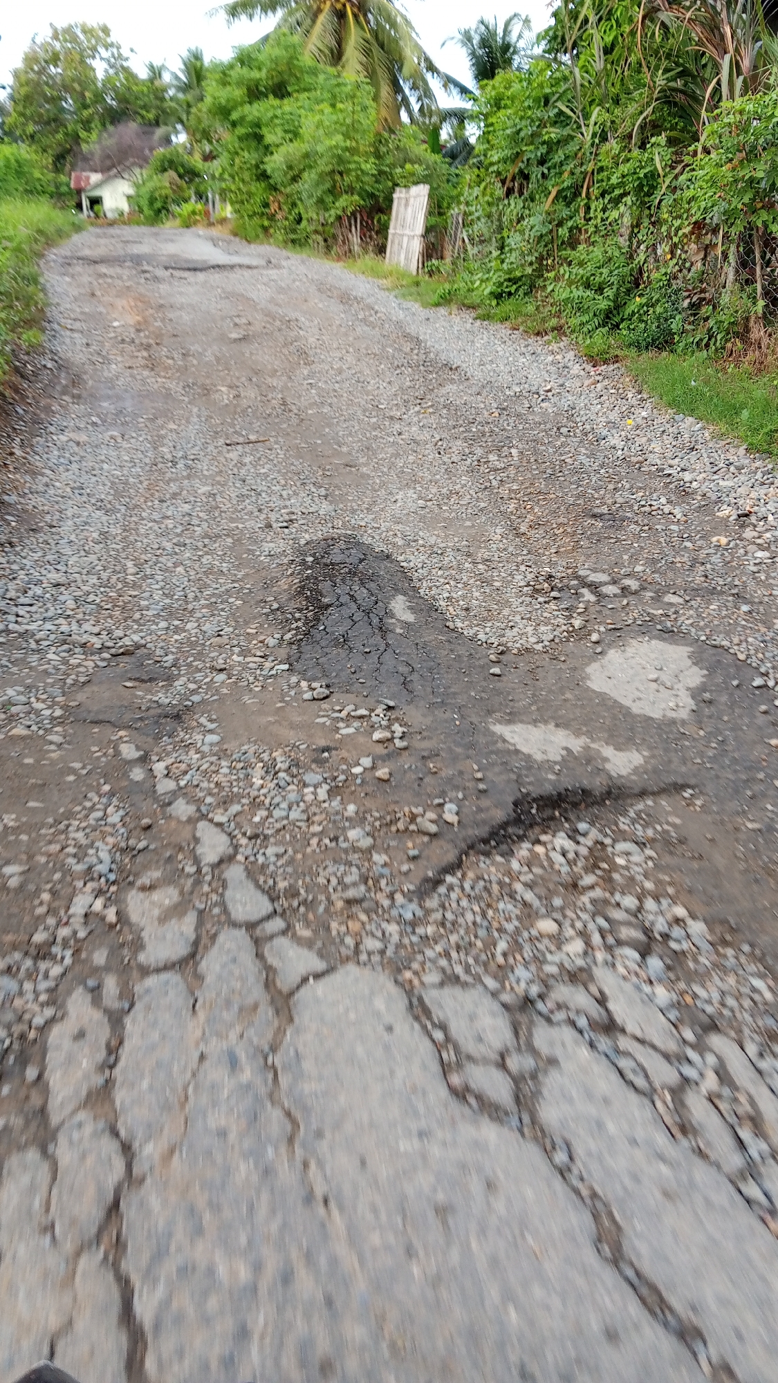 The image depicts a poorly maintained dirt and gravel road in a rural area of Cotjrat, Indonesia. The road is uneven and cracked, with several potholes, some filled with water. Dense green foliage lines the sides of the road, with palm trees and other tropical vegetation visible. In the background, a small, light-colored building with a reddish roof can be seen, partially obscured by trees. A wooden structure, possibly a fence or a makeshift barrier, is leaning against a tree on the right side of the road. The overall impression is of a rural, undeveloped setting with challenging road conditions.