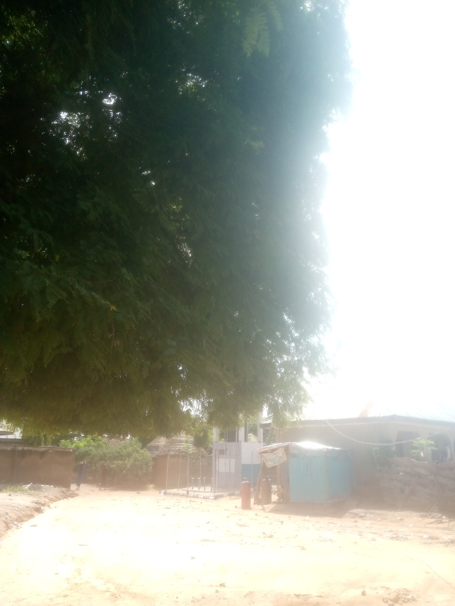 The image depicts a dusty, sun-drenched street scene in Jalingo, Nigeria, likely in a less developed area. A large tree with dense green foliage dominates the left side of the frame, casting shadows over the foreground and partially obscuring the bright sky. In the background, several structures are visible. To the left, a low, brown, mud-brick wall runs along the street. Behind it, a person in a blue garment is walking away from the camera. Further into the background, there is a thatched-roof structure, resembling a hut or kiosk. Next to it, a light blue corrugated metal shack stands, with a red gas cylinder and other items placed near its entrance. To the right of the shack, a larger building with a tin roof is partially visible, with stacks of lumber or building materials nearby. The ground is sandy and uneven, with scattered debris. The overall impression is one of a dry, warm climate, common in regions like Jalingo.
