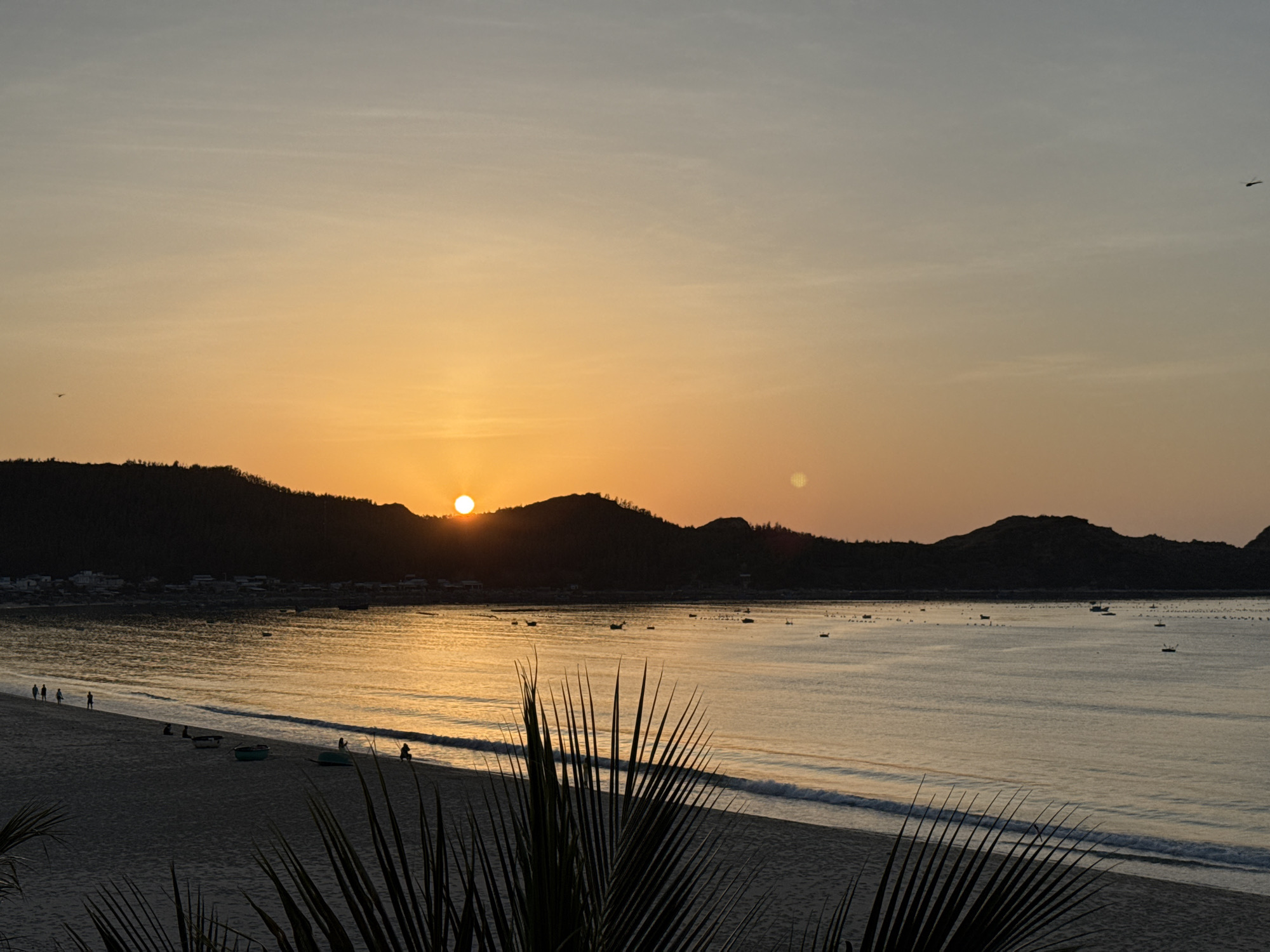 This is a photograph of a beach in the city of Song Cau, Vietnam, during sunset. The sun is a bright orange orb on the horizon, casting a warm glow over the scene. The sky is a gradient of soft yellows and oranges, transitioning to a pale blue at the top. Silhouetted against the vibrant sky are rolling hills and mountains that form the coastline.
The water of the ocean is calm, reflecting the sunset's colors with a shimmering golden hue. Gentle waves lap at the shore, leaving a foamy trail on the sand. Several small boats are scattered across the water, some appearing to be fishing vessels.
The foreground of the image is dominated by the dark silhouettes of palm fronds, their sharp, spiky leaves creating a natural frame for the tranquil beach scene. The sand itself appears to be a medium tone, with some footprints indicating recent activity.
On the beach, a few people are visible. Some are walking along the shoreline, their figures appearing small against the vastness of the landscape. Others are seated or standing near a few small boats pulled up onto the sand. The overall atmosphere is peaceful and serene, capturing the beauty of a coastal sunset.
