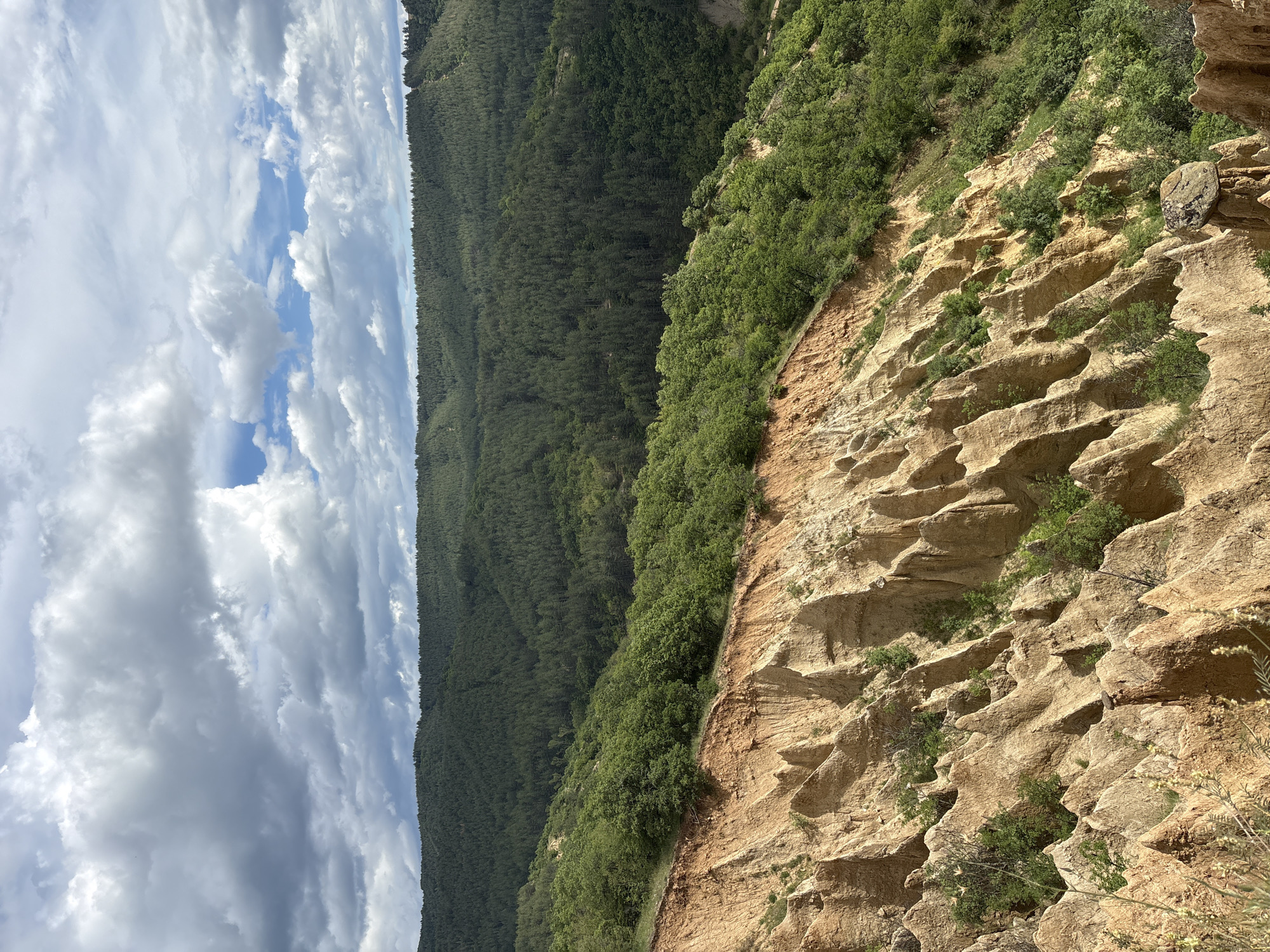 The image captures the Stob Pyramids in Bulgaria. The scene showcases eroded sandstone formations, characterized by a terraced, layered appearance. Green vegetation, consisting of trees and shrubs, is dispersed across the landscape, particularly along the edge of the formations and in the background. Dense forest covers a significant portion of the background hills. The sky above displays a mix of cloudy conditions, with both dark, ominous clouds and patches of bright blue.