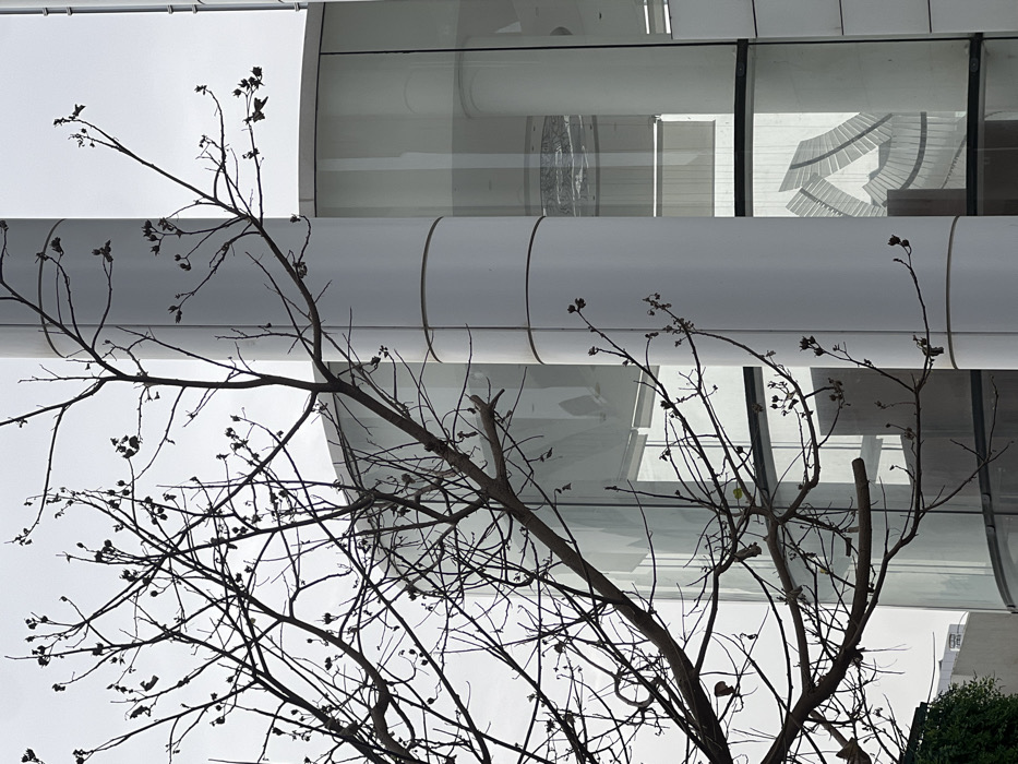 A stark silhouette of a leafless tree dominates the foreground against a backdrop of modern architecture. The building features a rounded facade with large windows, reflecting light and glimpses of an interior staircase. The gray sky emphasizes the monochromatic palette, enhancing the stark contrast between the organic, twisting branches and the clean, geometric lines of the building.